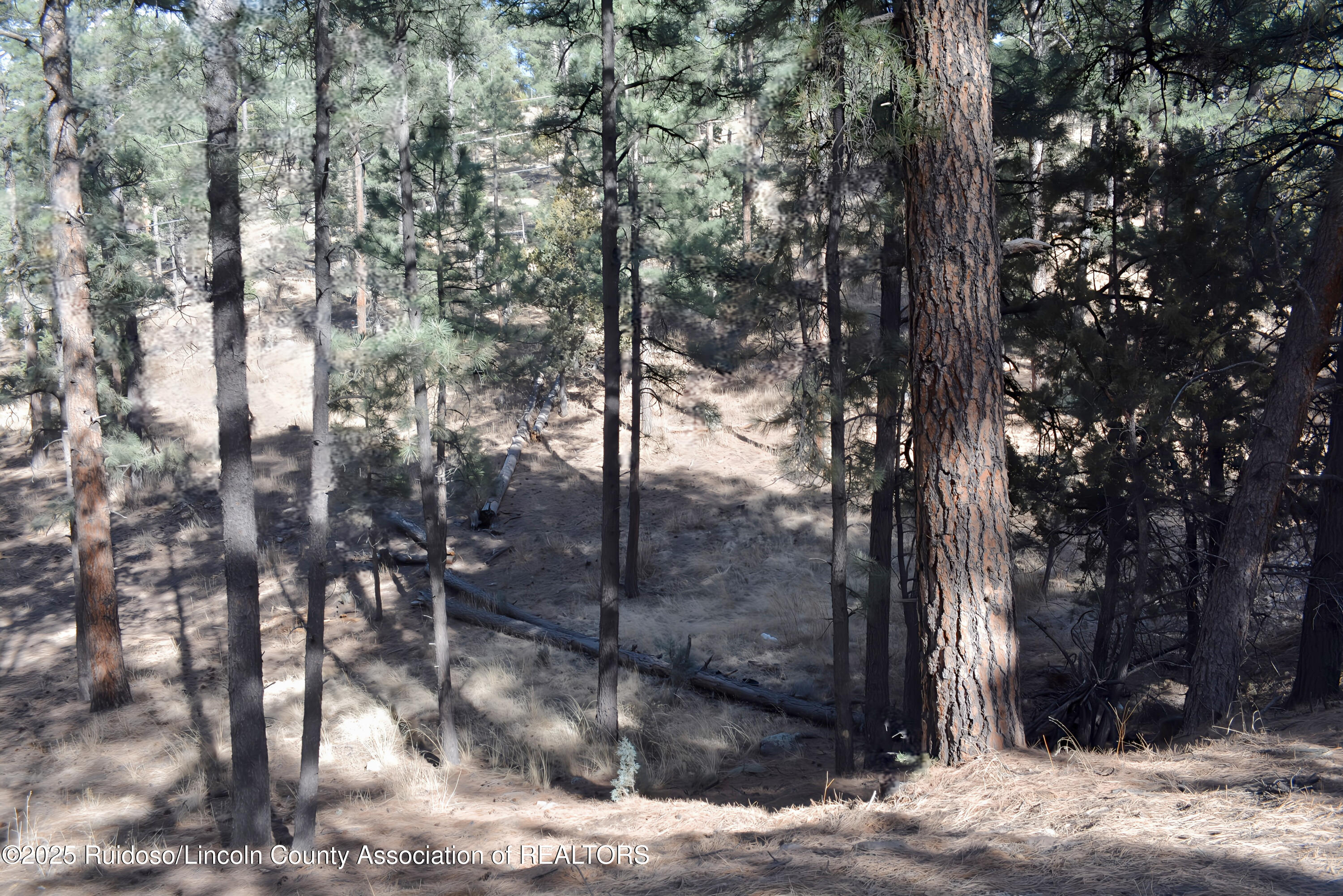 Lot 9 Alto Drive, Alto, New Mexico image 5