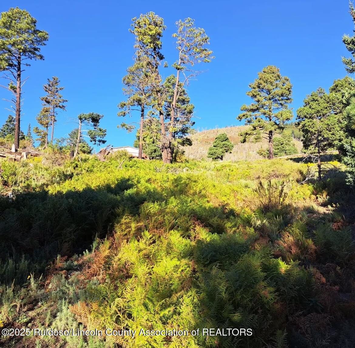 1 Woodpecker Ln, Alto, New Mexico image 4