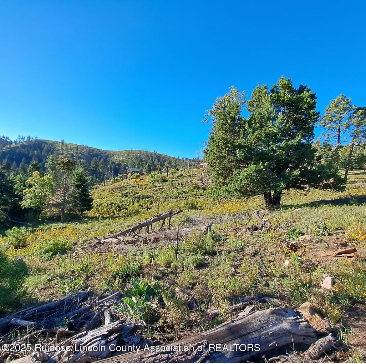 1 Woodpecker Ln, Alto, New Mexico image 2