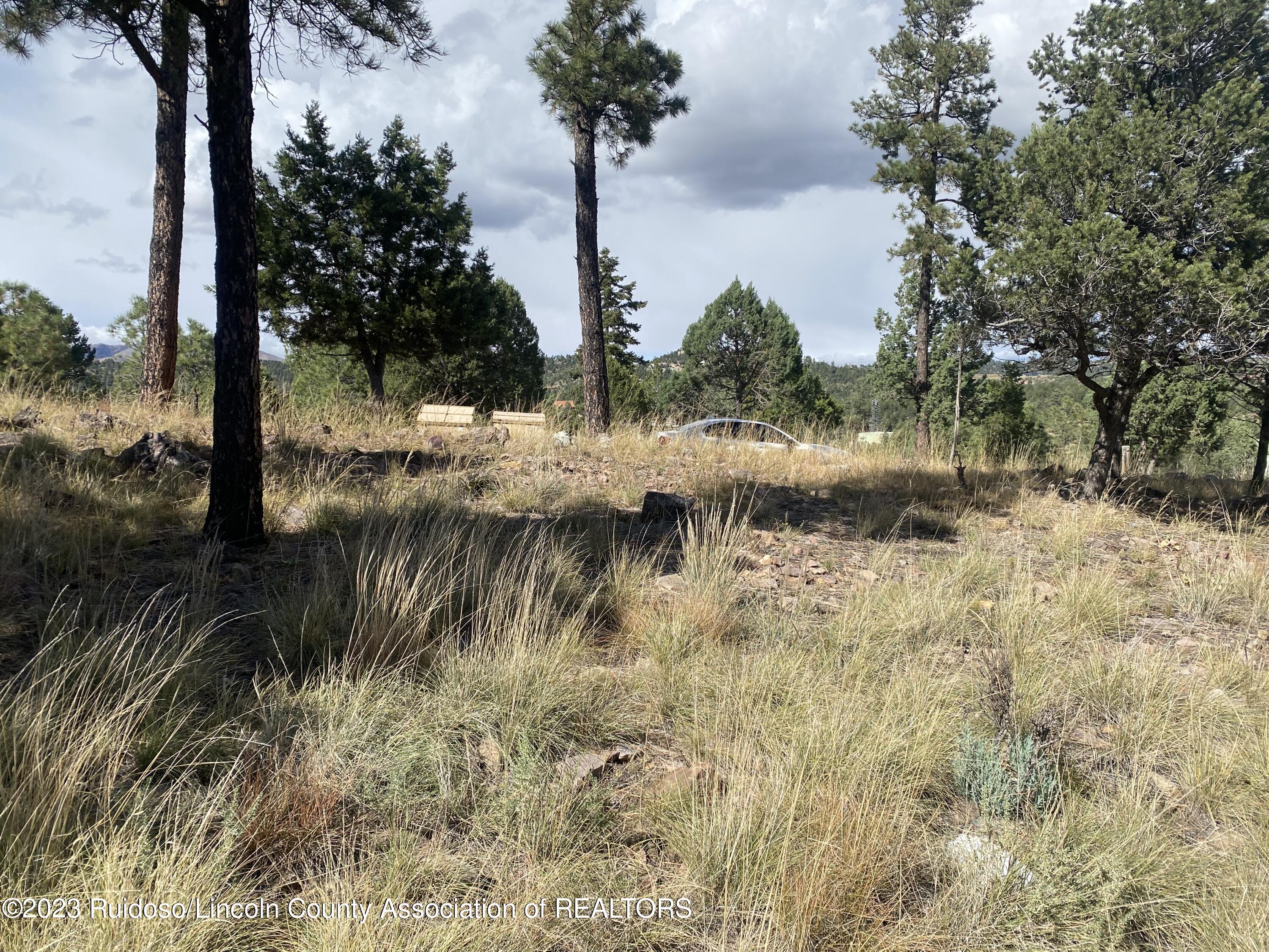 204 Timberline Place, Ruidoso, New Mexico image 1