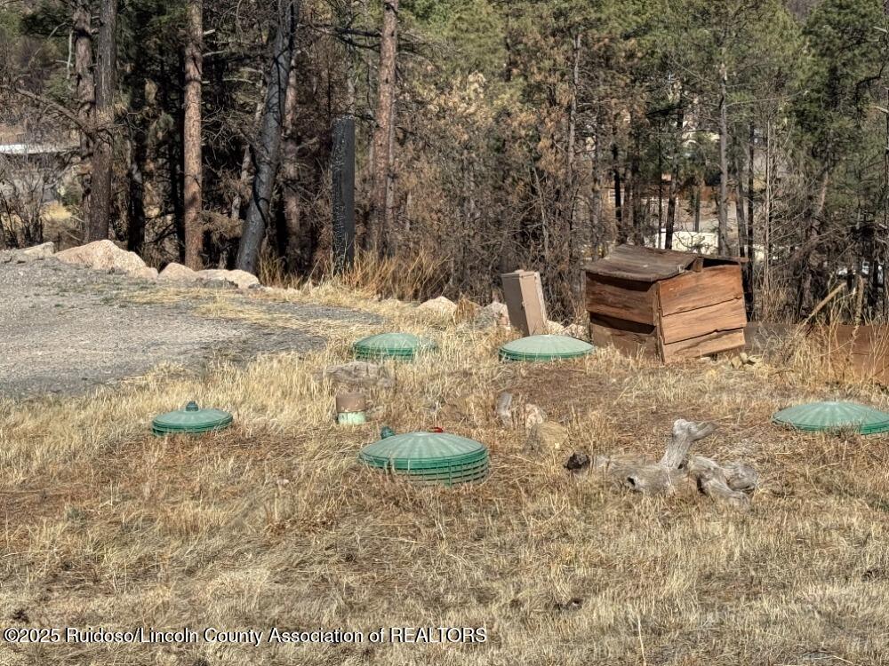 101 Wildflower, Alto, New Mexico image 16