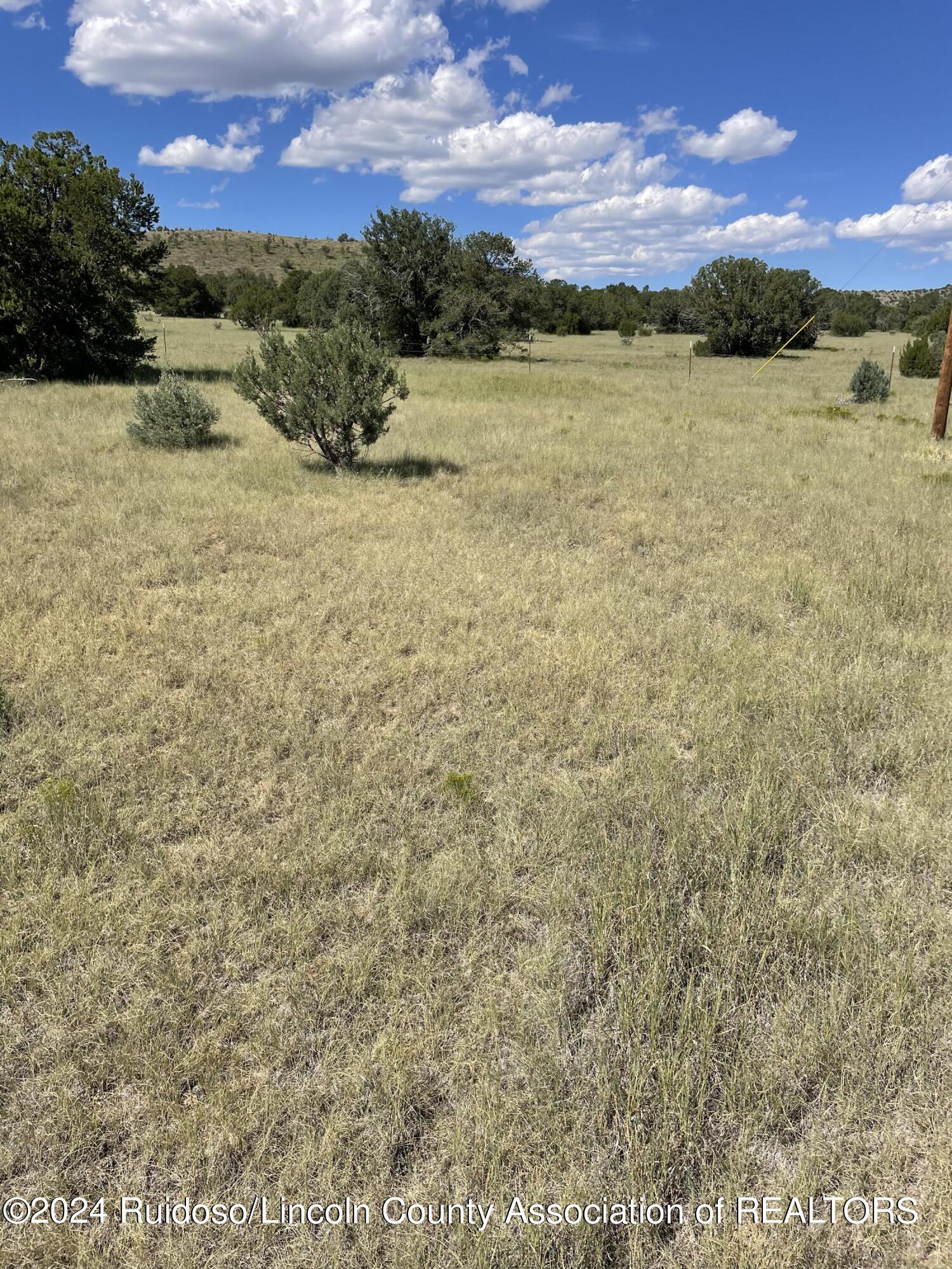 Tract 2 Salazar Canyon Road, Capitan, New Mexico image 13