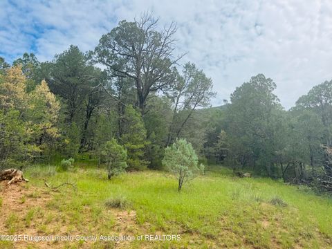 - Johnnys Drive  NM 88350