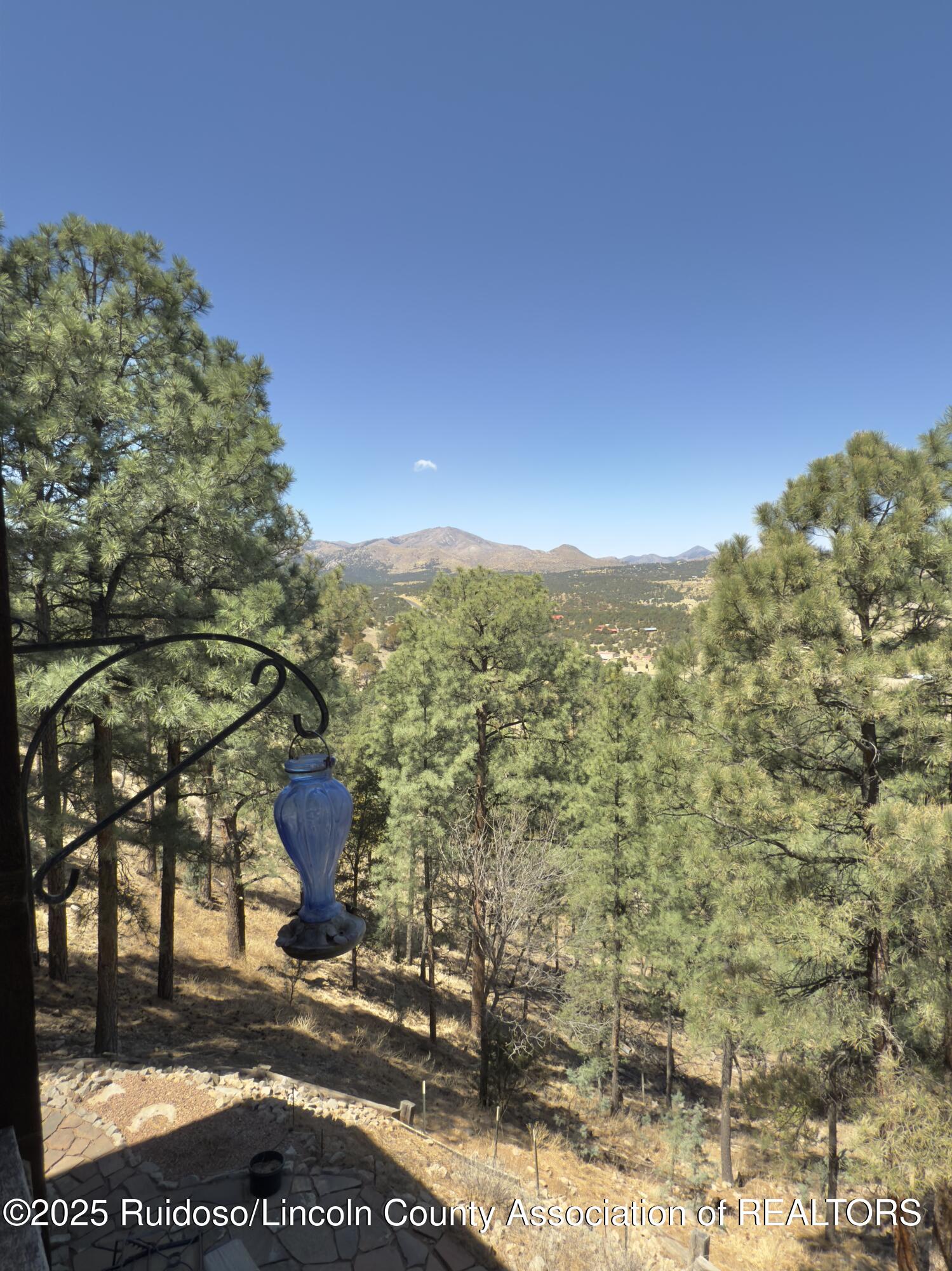 237 Deer Park Drive, Alto, New Mexico image 31