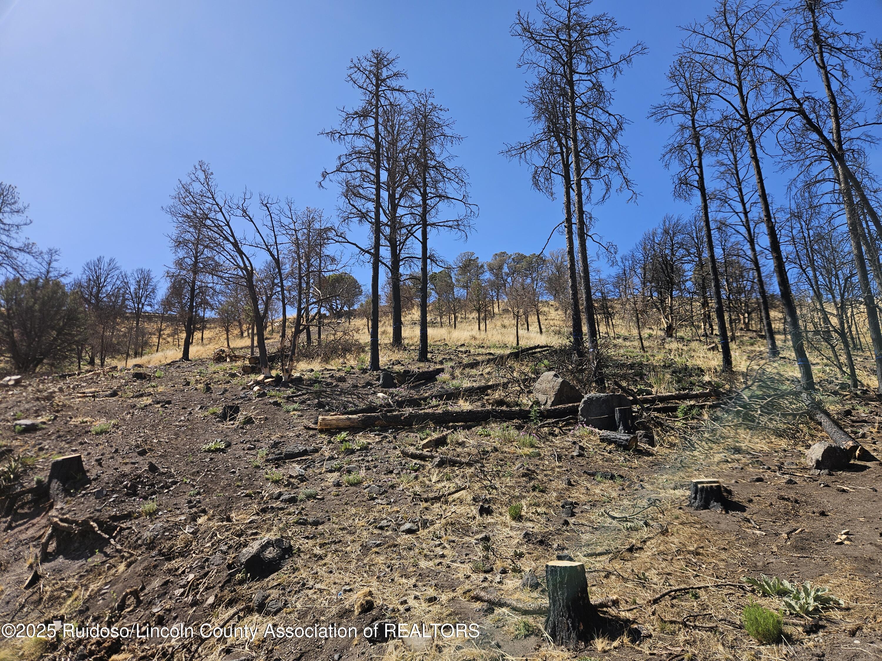 116 Whitney Drive, Ruidoso, New Mexico image 2