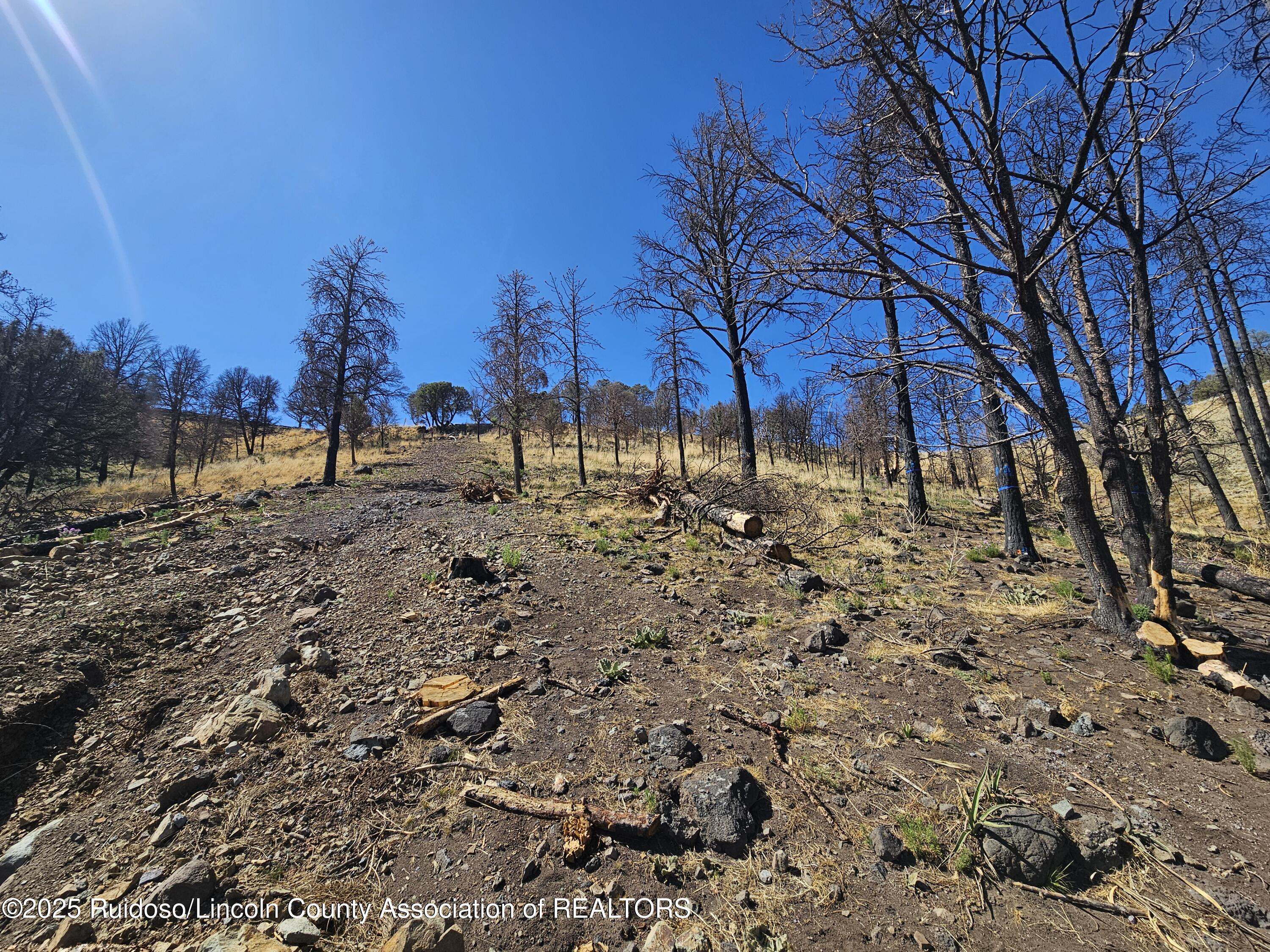 116 Whitney Drive, Ruidoso, New Mexico image 4