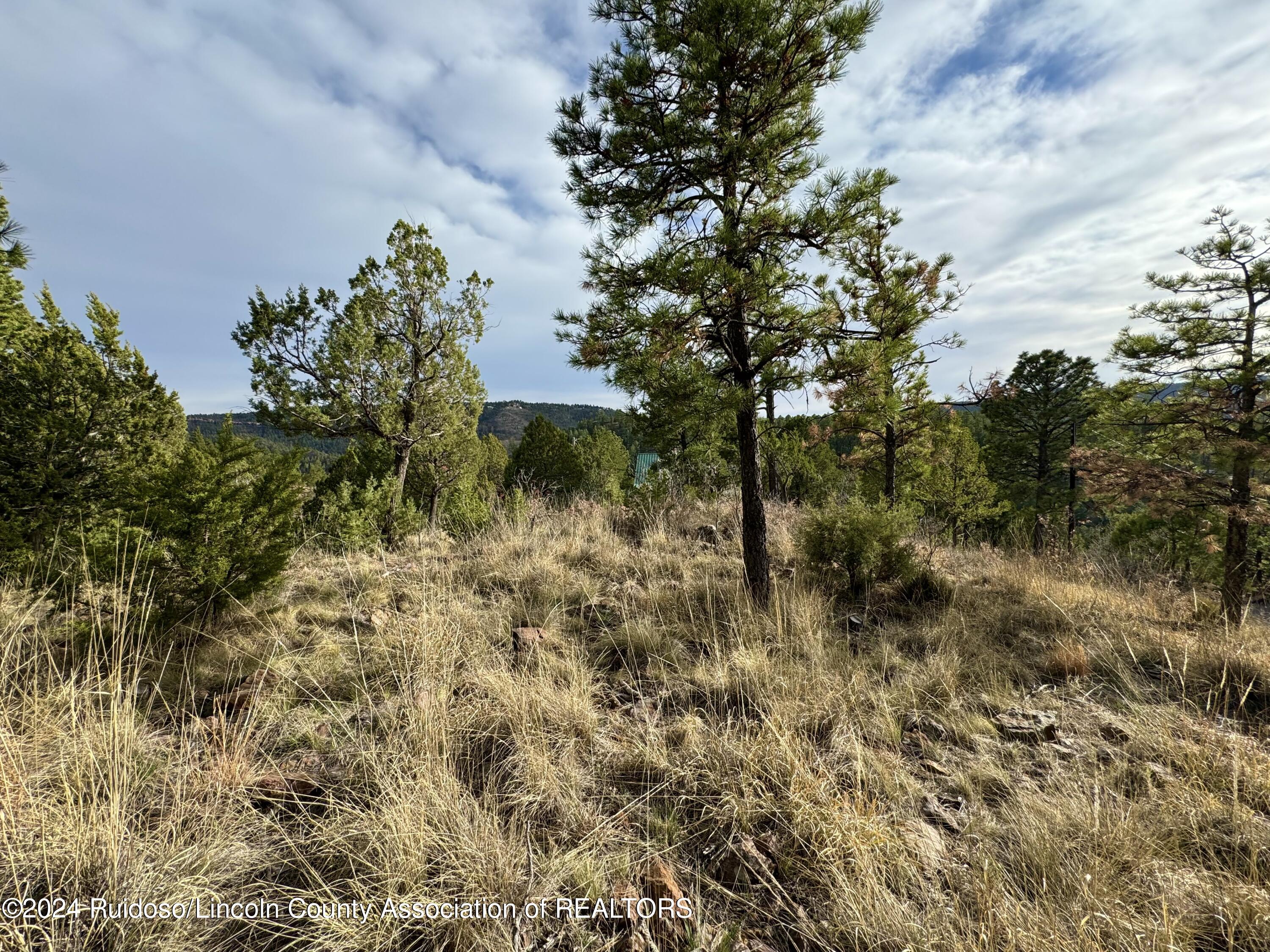 118 Coronado Drive, Ruidoso, New Mexico image 11