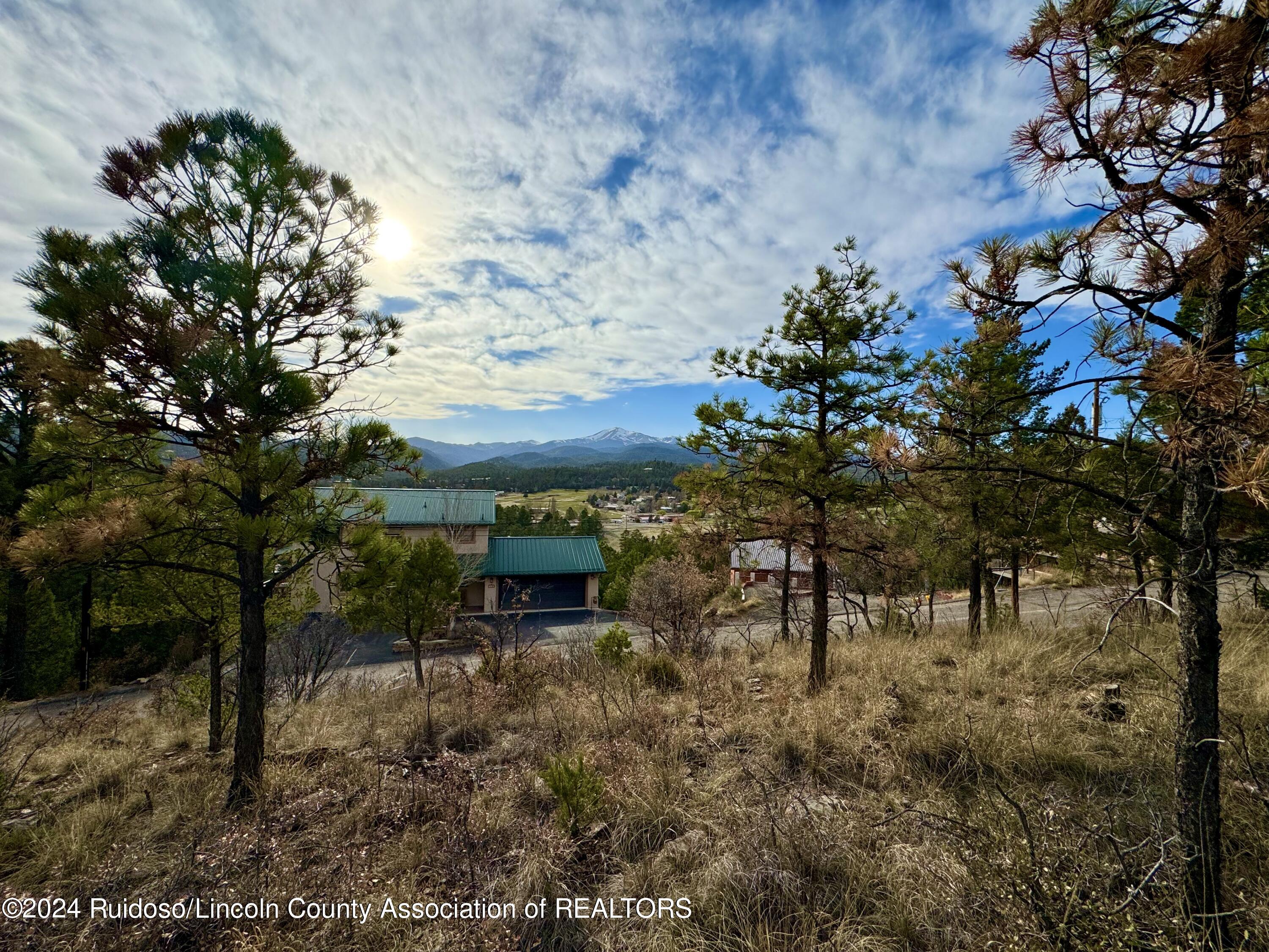 118 Coronado Drive, Ruidoso, New Mexico image 8