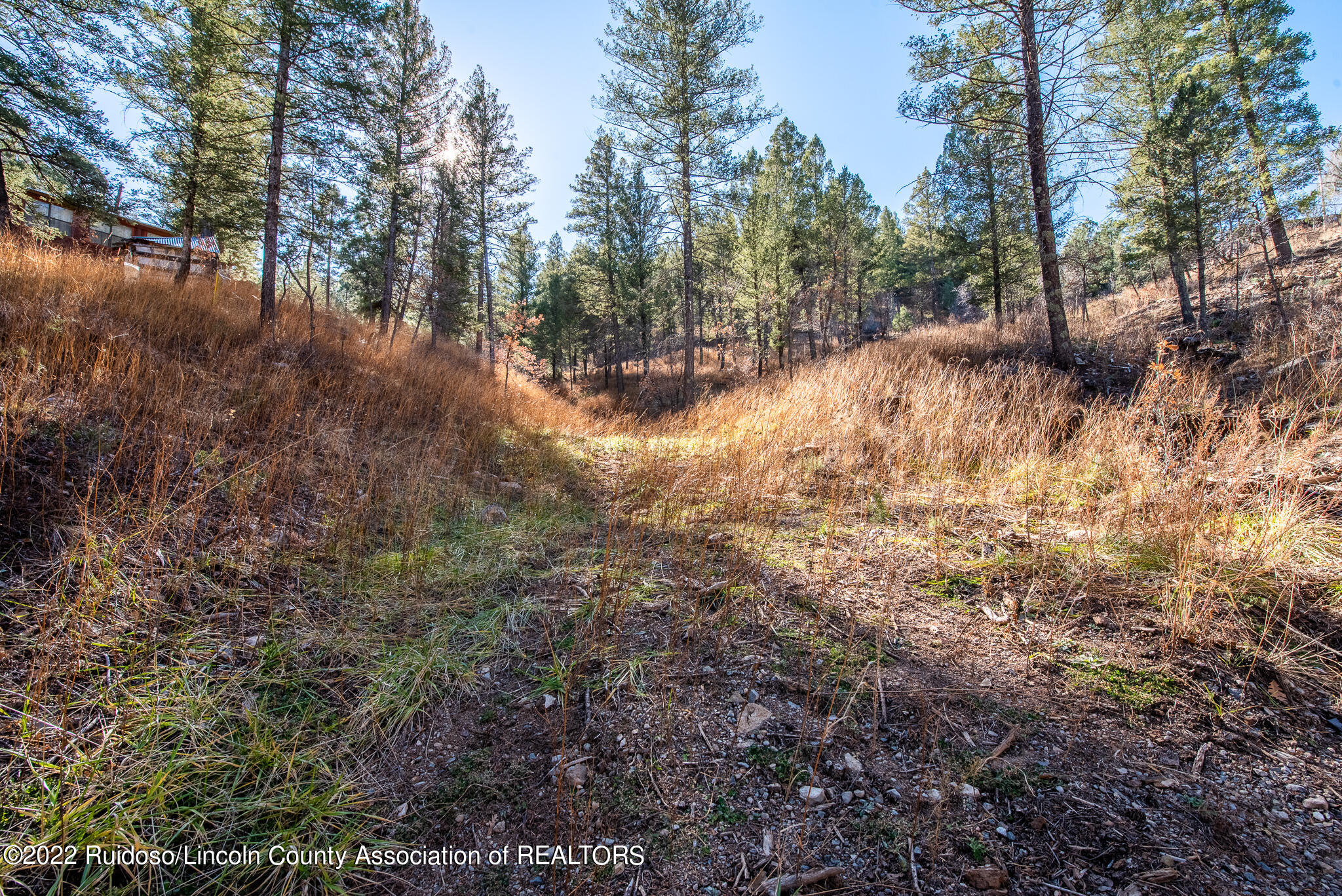 115 Tanager Drive, Ruidoso, New Mexico image 9