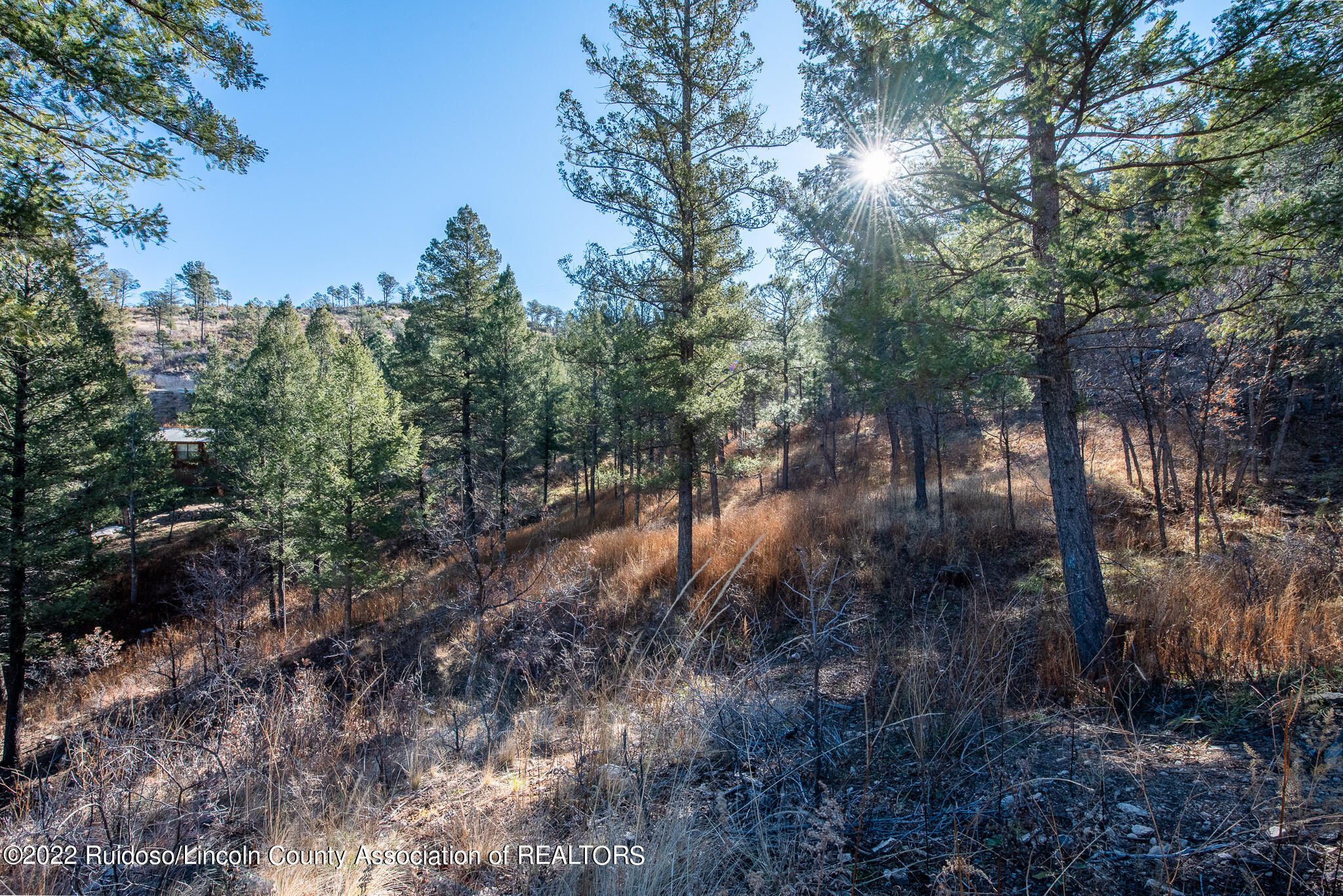 115 Tanager Drive, Ruidoso, New Mexico image 5