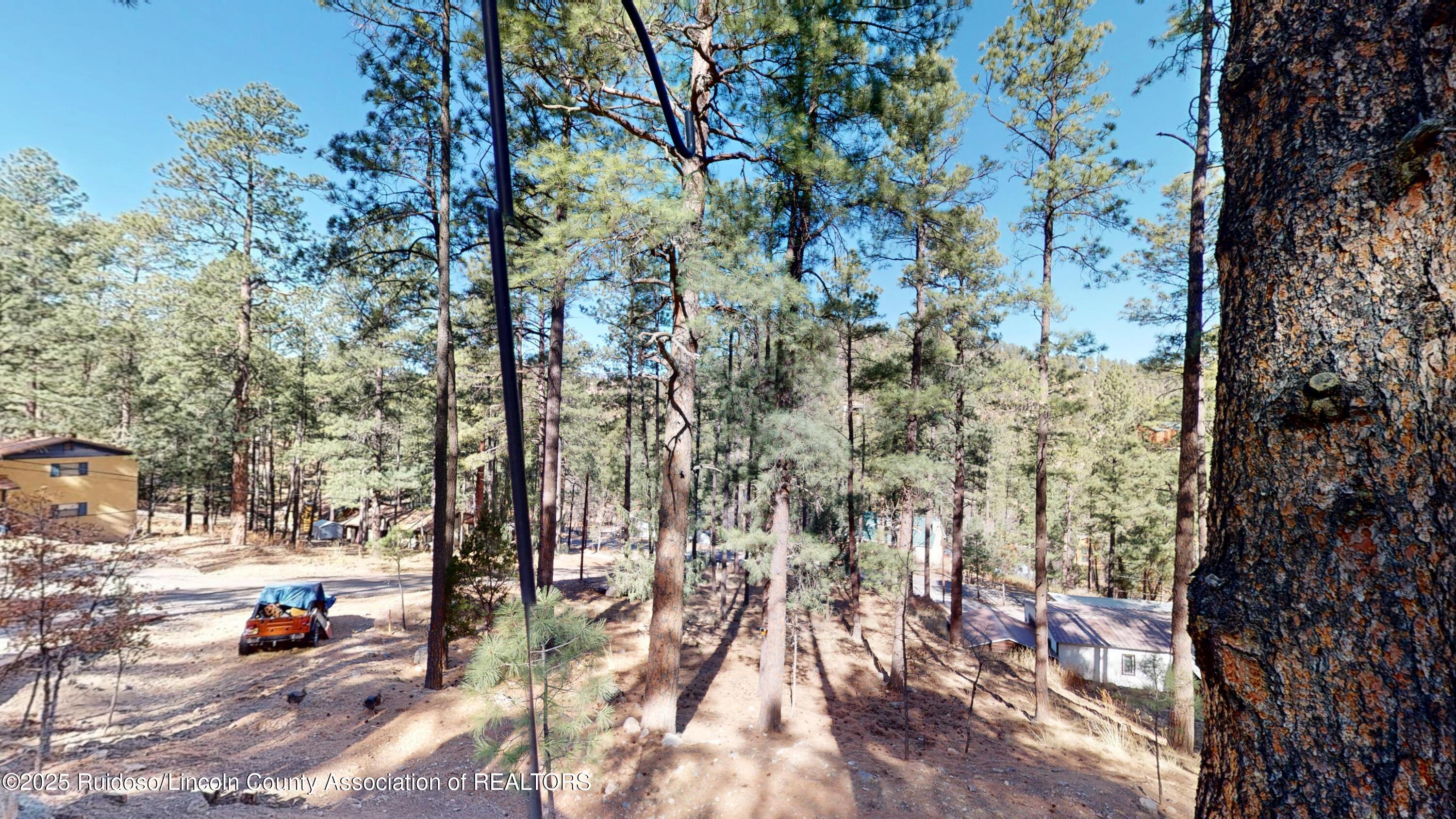 108 Geronimo Place, Ruidoso, New Mexico image 9