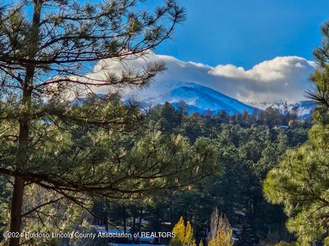 604 White Mountain Drive #208, Ruidoso, New Mexico image 2