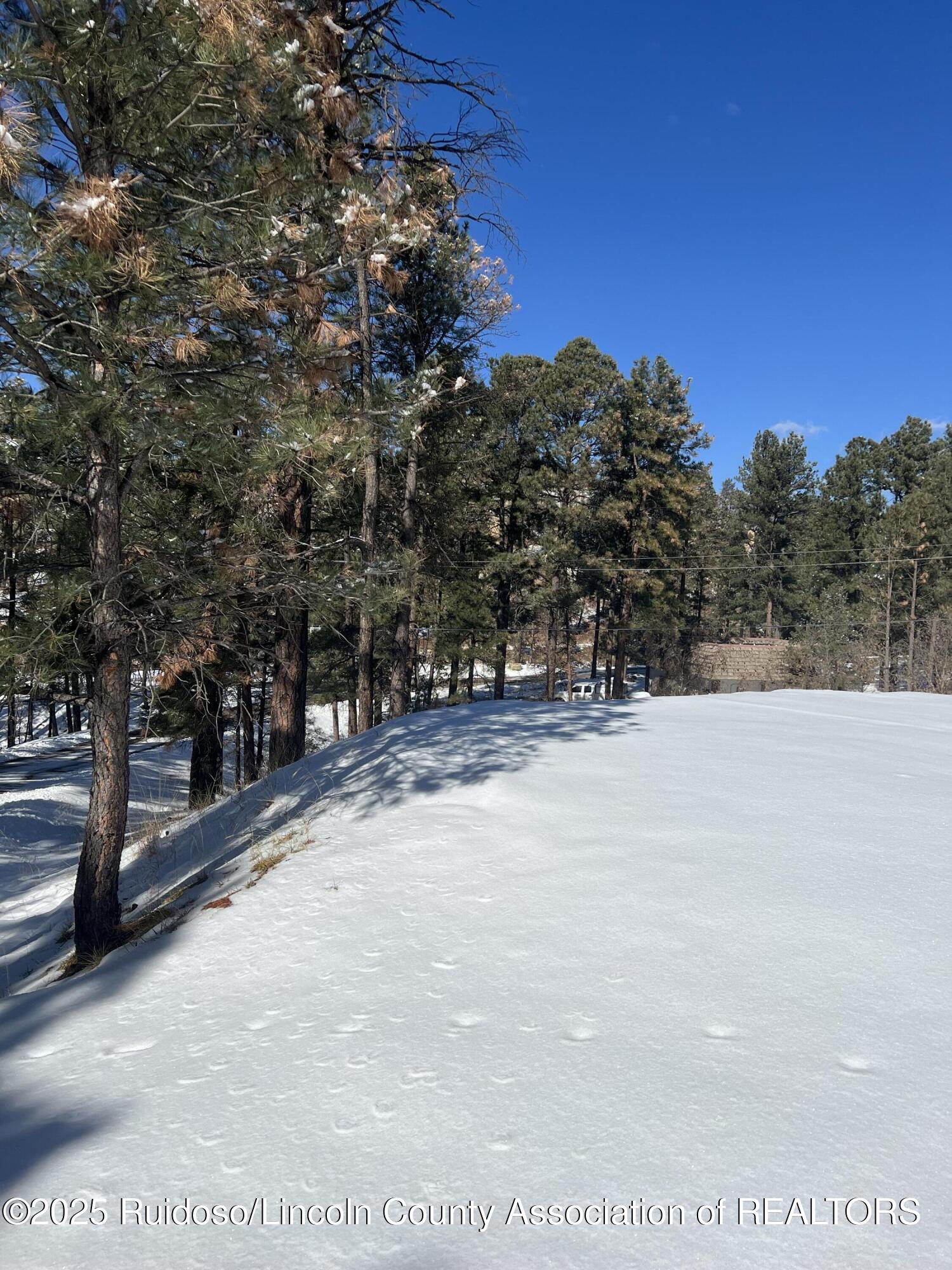 203 Brentwood Drive, Alto, New Mexico image 2