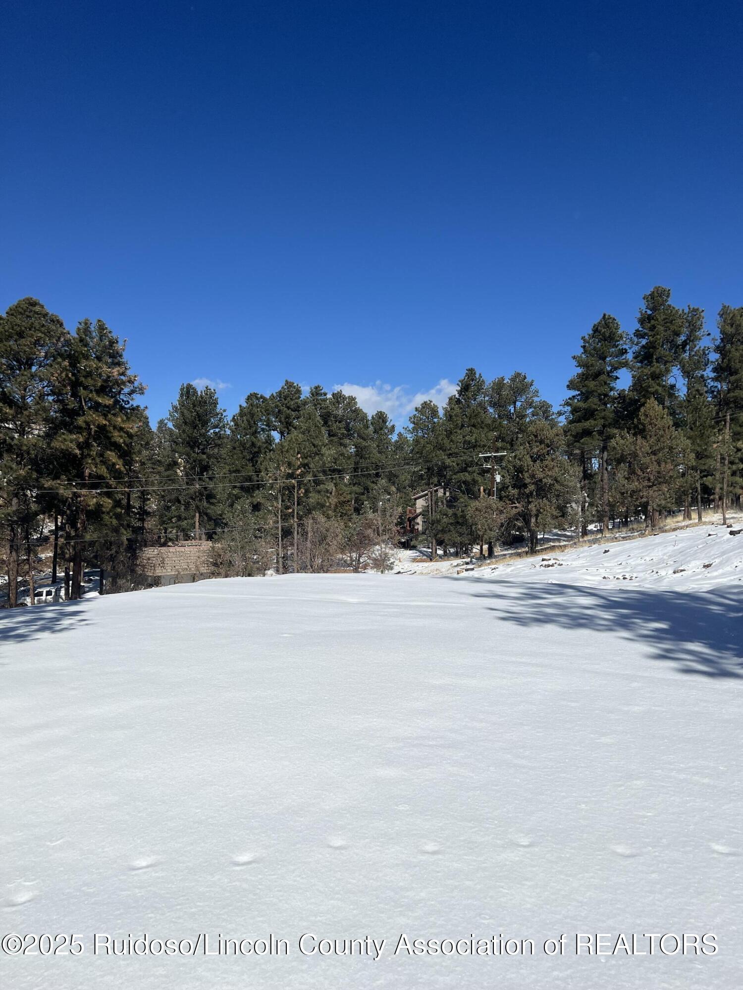 203 Brentwood Drive, Alto, New Mexico image 1