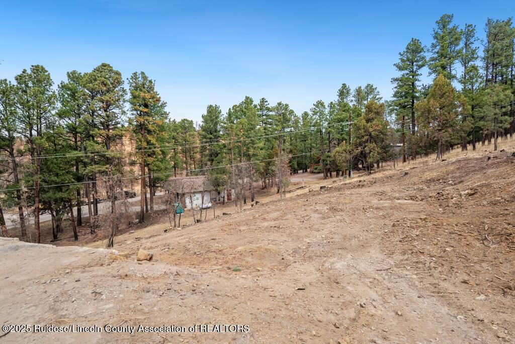 203 Brentwood Drive, Alto, New Mexico image 3