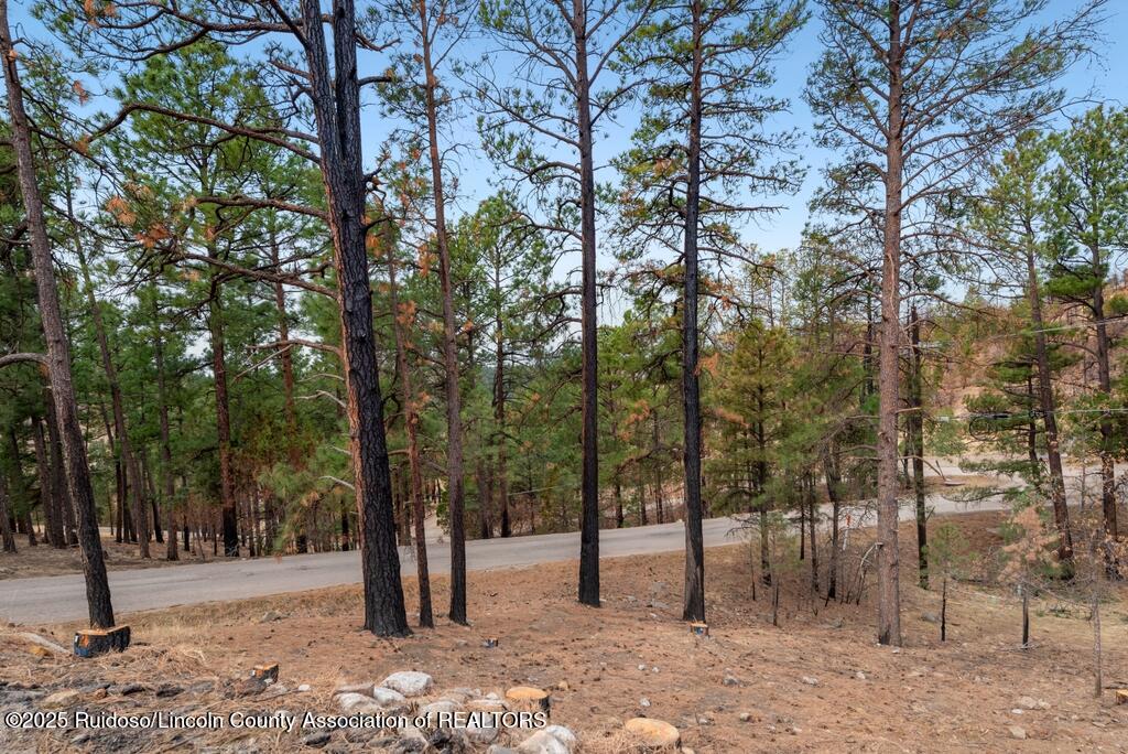 203 Brentwood Drive, Alto, New Mexico image 4