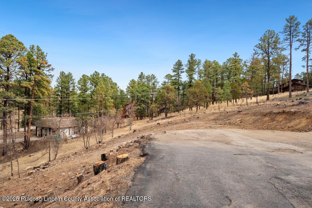 203 Brentwood Drive, Alto, New Mexico image 2