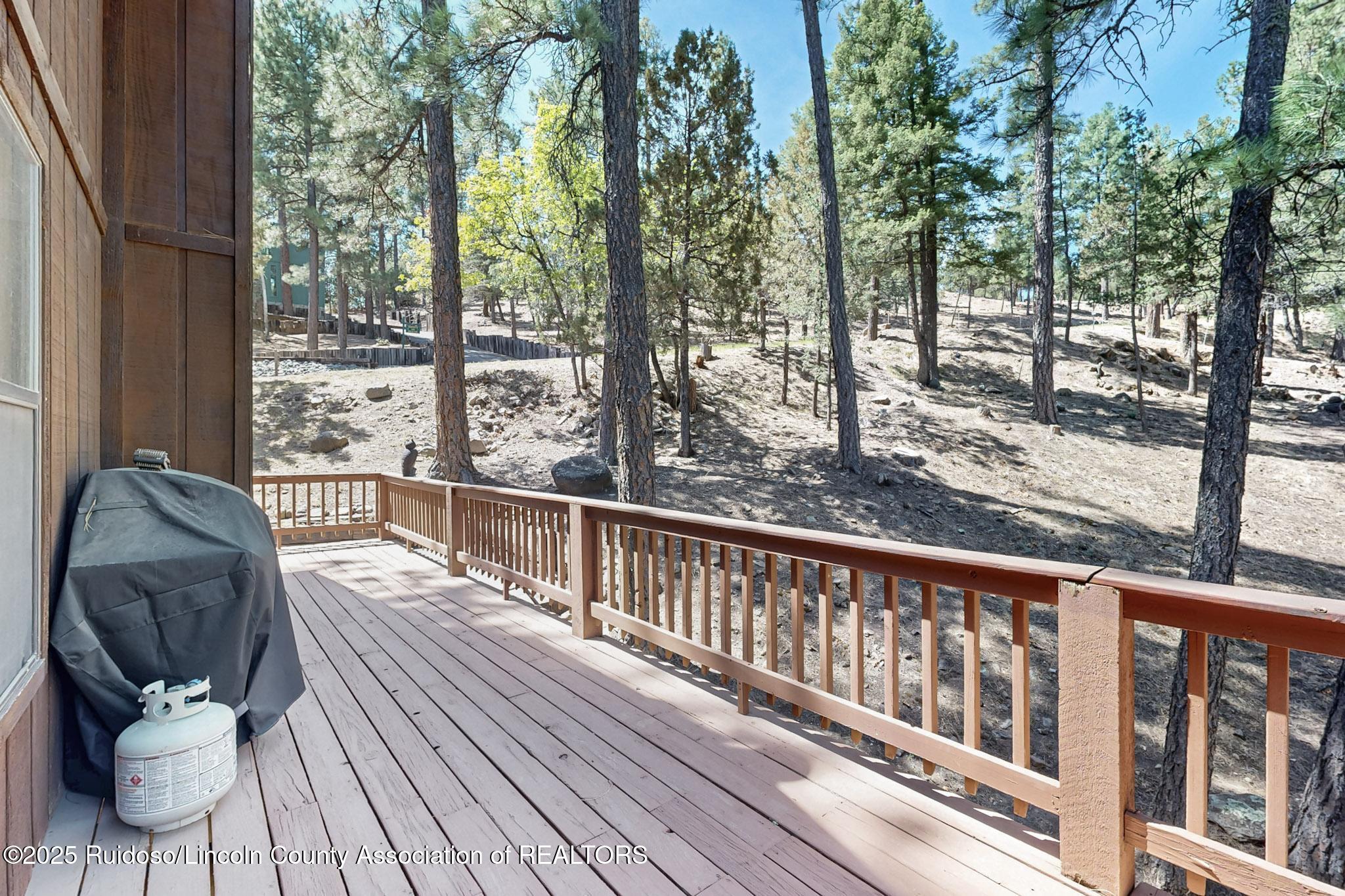 151 Broadmoor Drive, Alto, New Mexico image 50