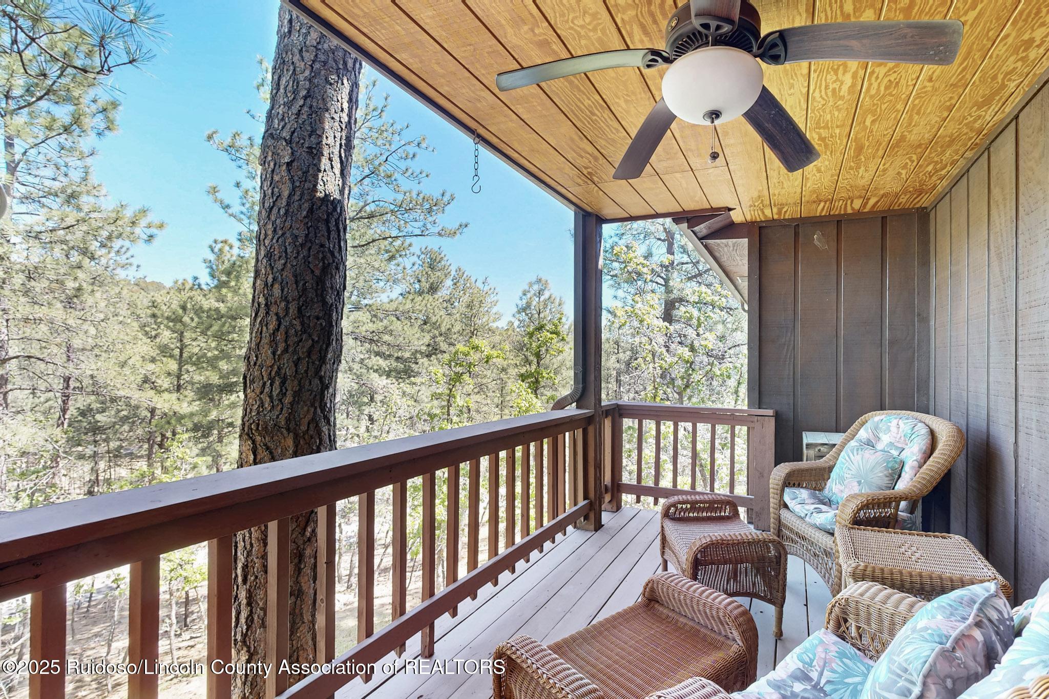 151 Broadmoor Drive, Alto, New Mexico image 47