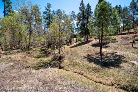 Vacant Land For Sale - 209 Flume Canyon Drive<br/> Lincoln County, Ruidoso, NM 88345