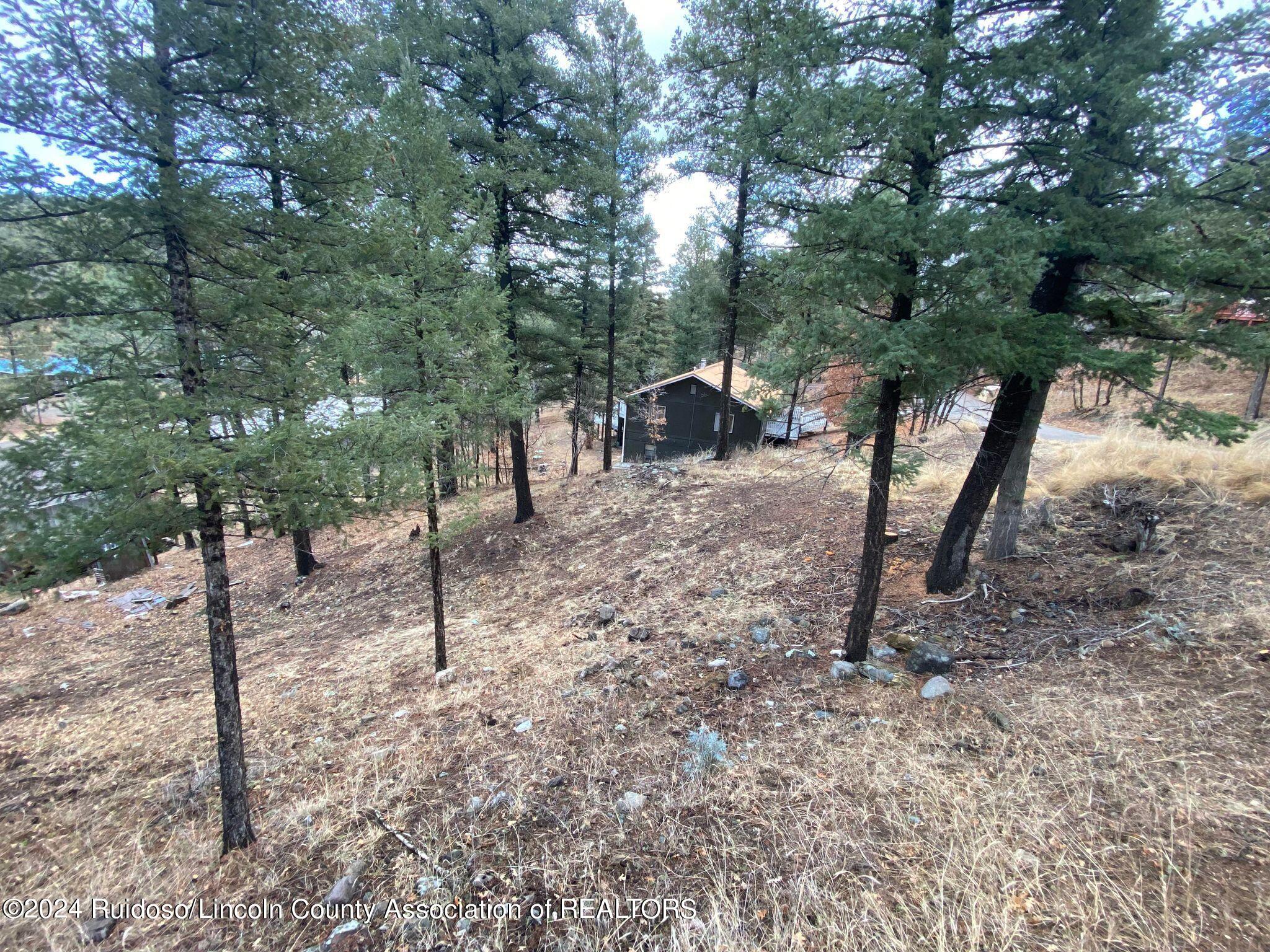 122 Sequoia Drive, Ruidoso, New Mexico image 1