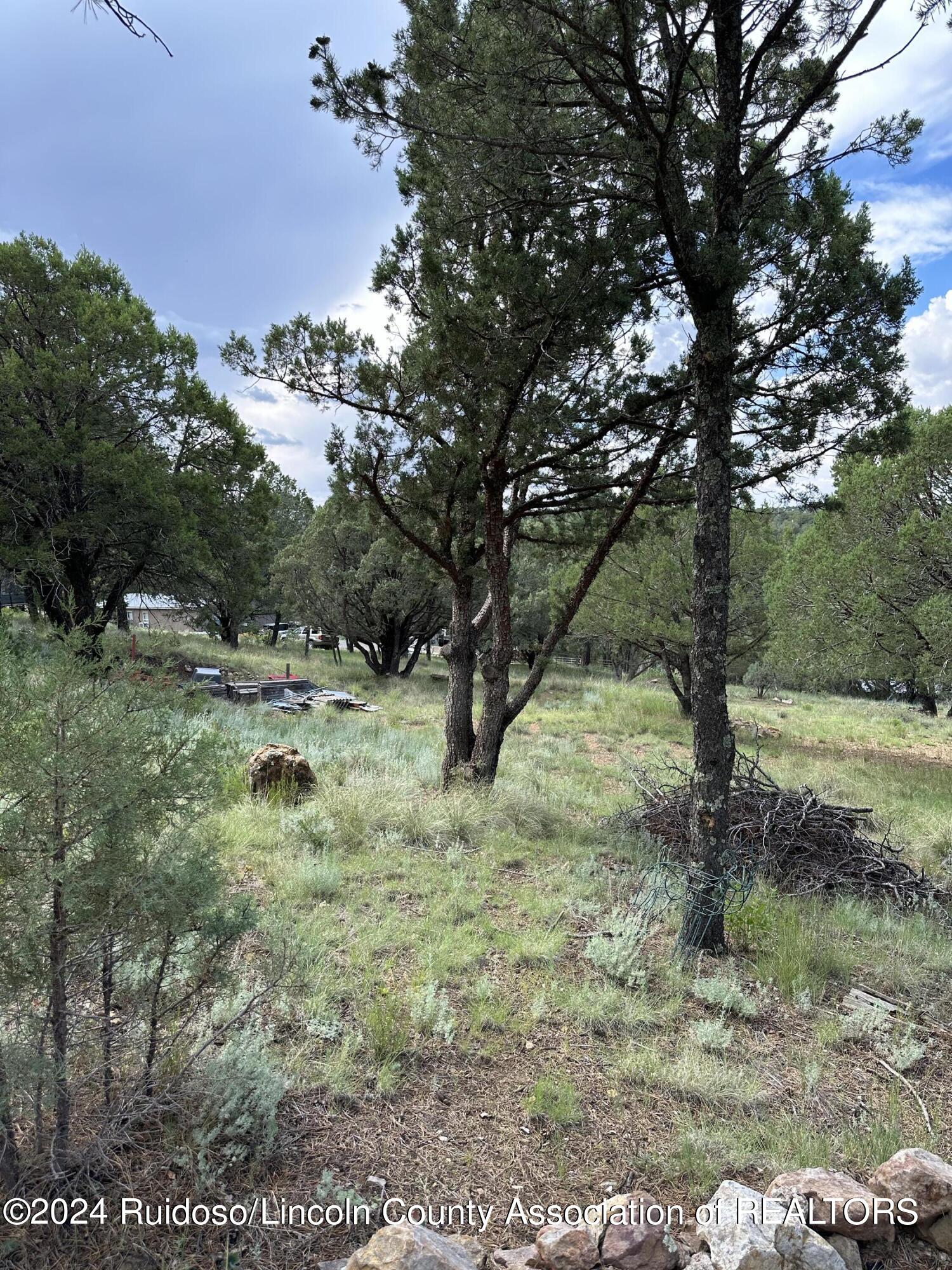 106 Buggy Lane, Nogal, New Mexico image 46