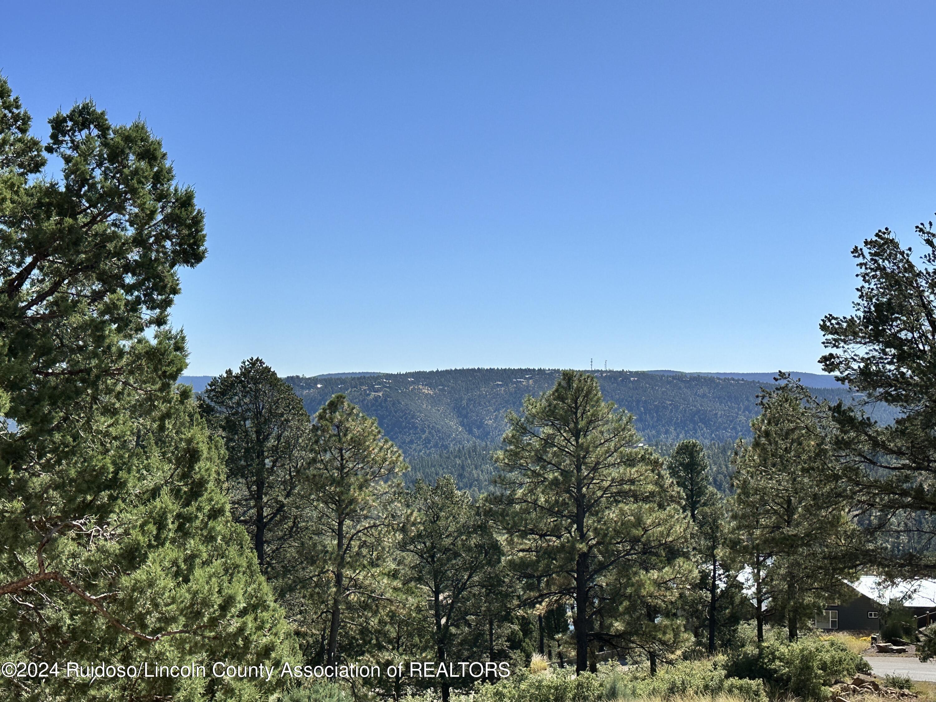 101 Middle Fork Frk, Ruidoso, New Mexico image 20