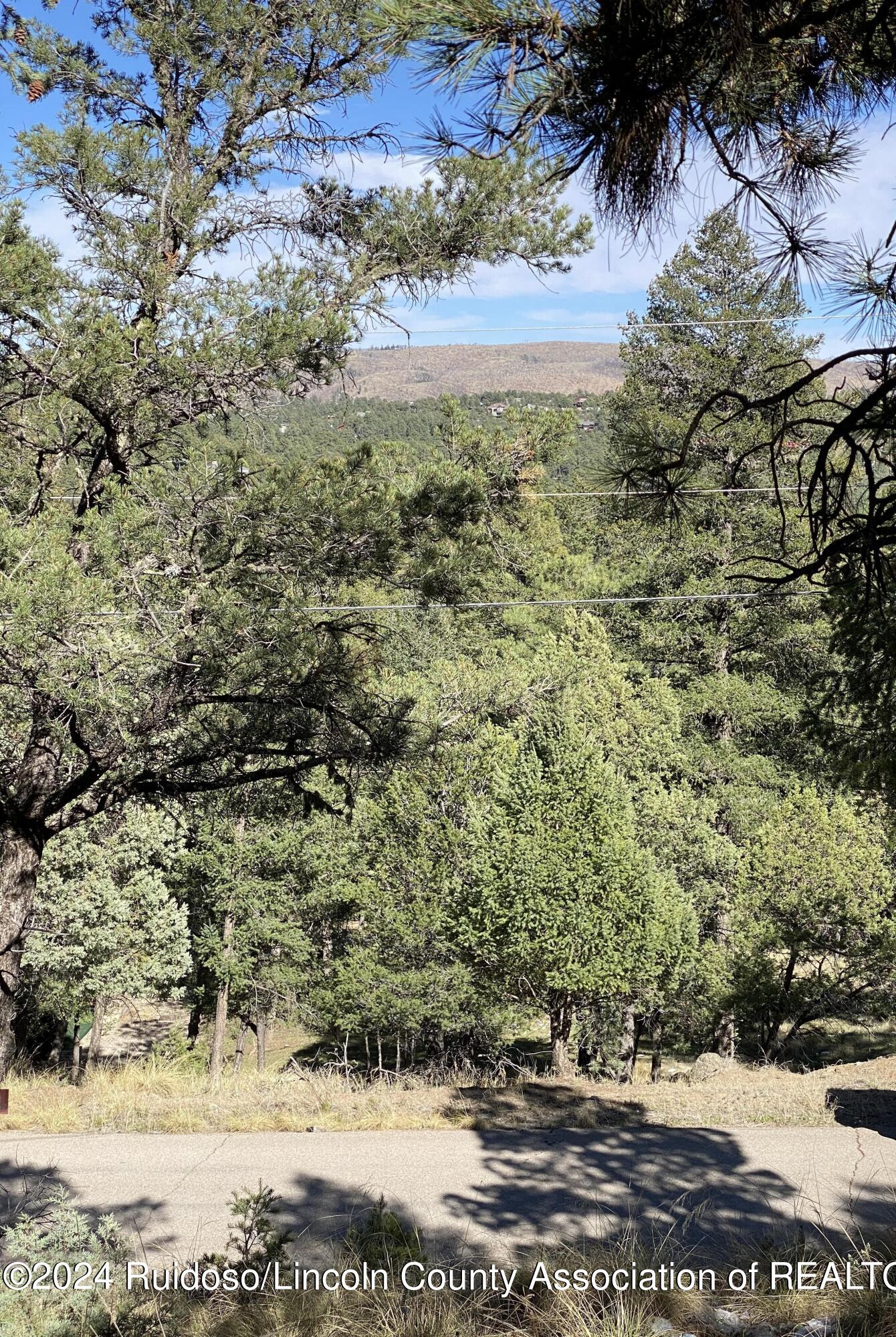 Tonto Drive, Ruidoso, New Mexico image 1