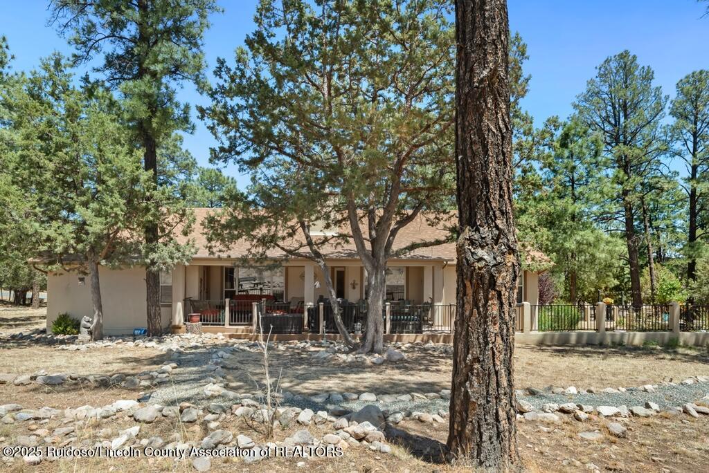 114 Eagle Ridge Road, Alto, New Mexico image 28