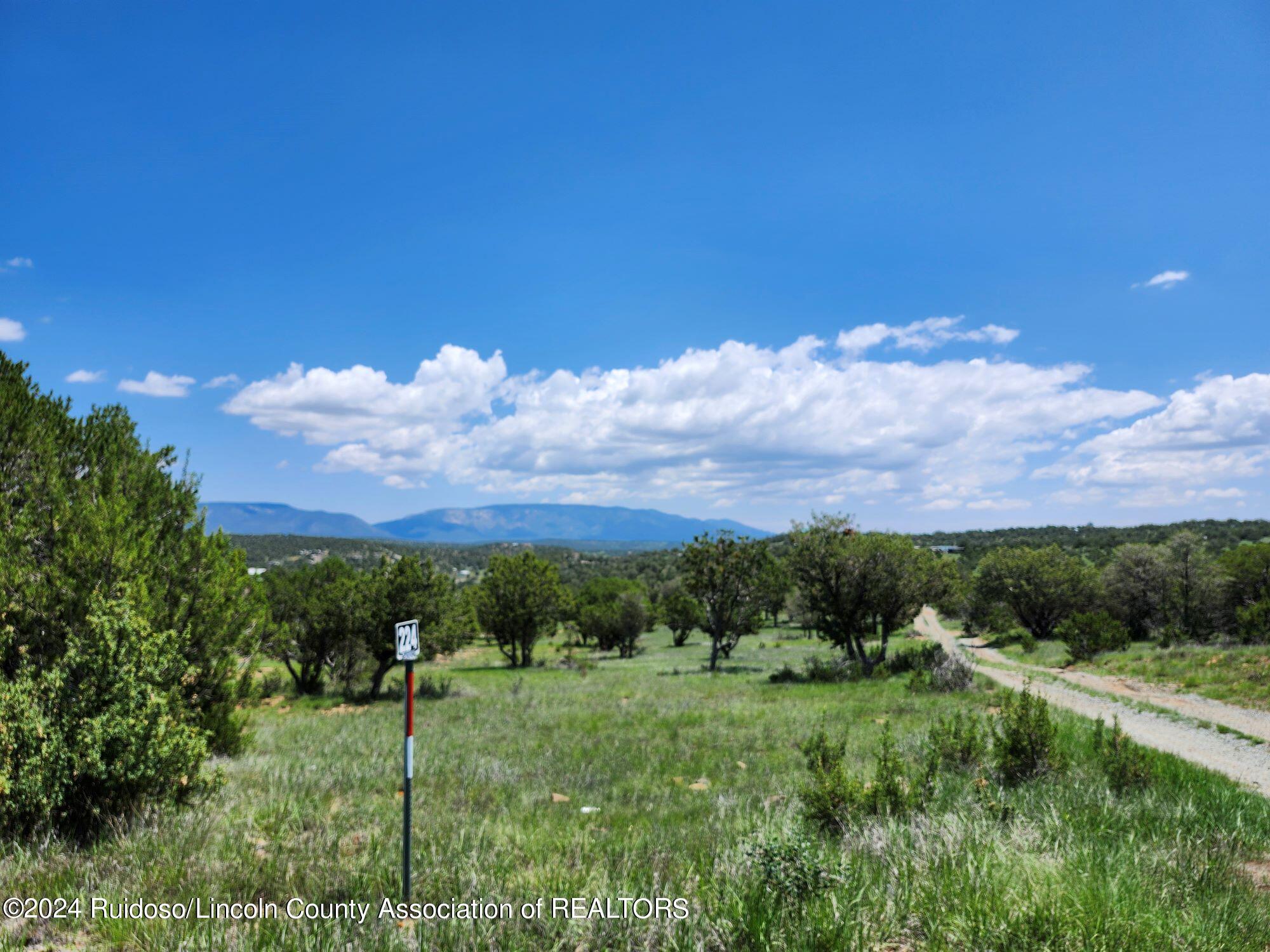 Tract 38B Bancroft Road, Capitan, New Mexico image 4