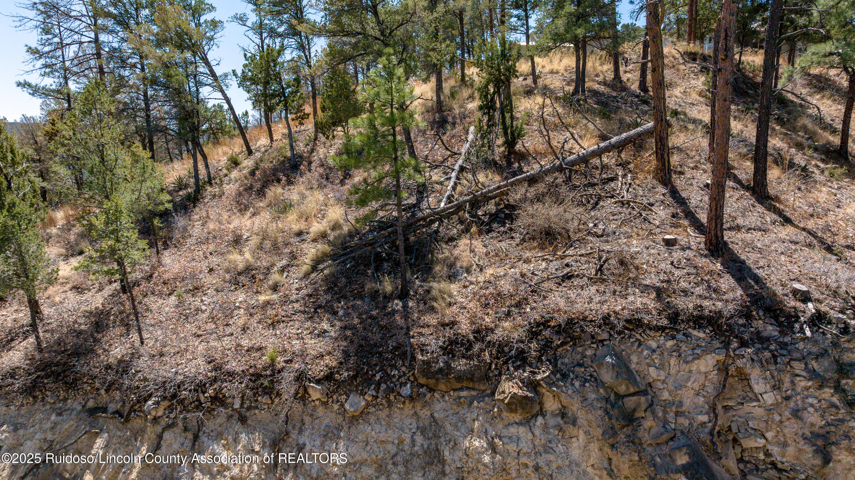 107 Worchester Drive, Ruidoso, New Mexico image 12