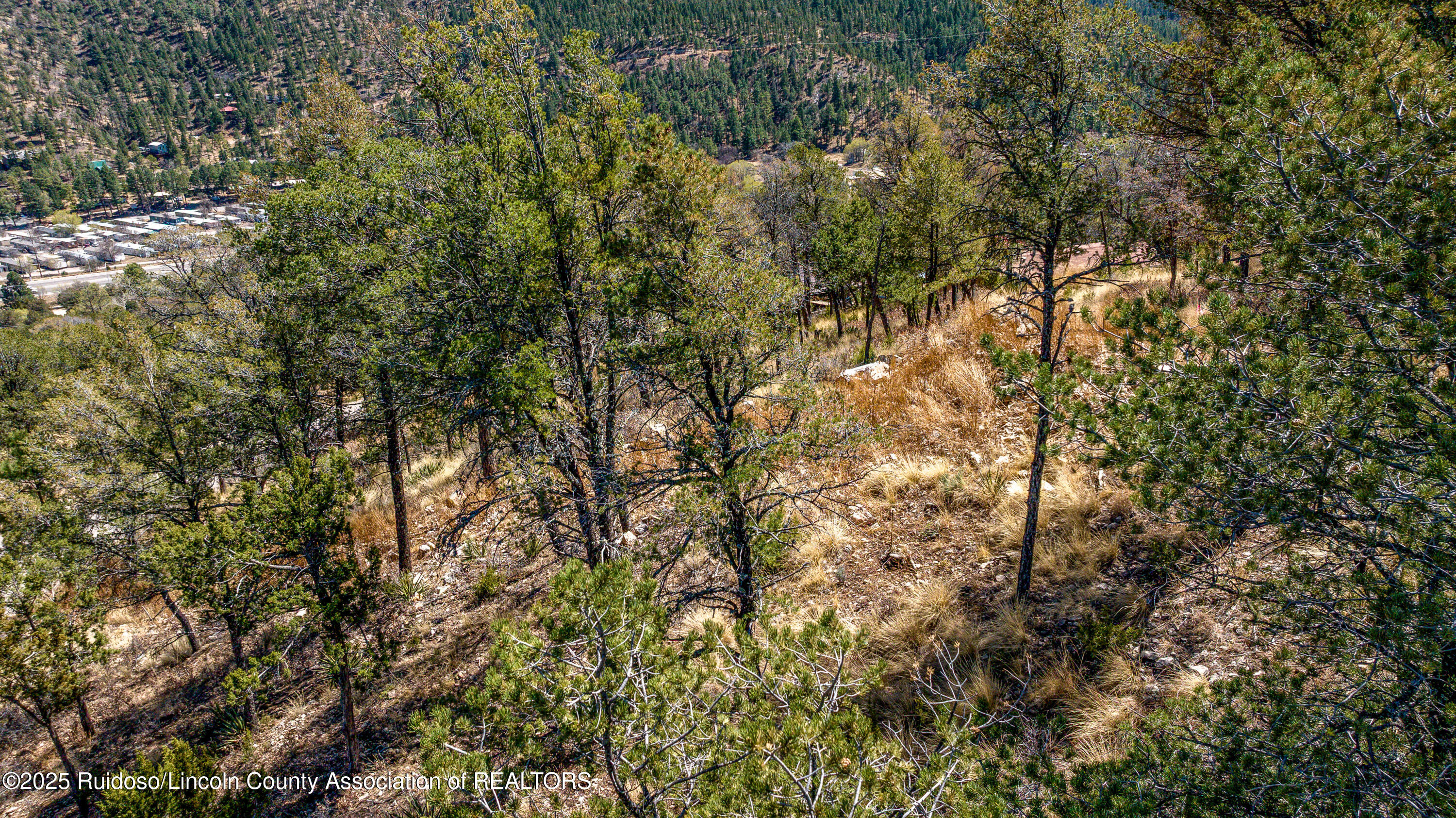 107 Worchester Drive, Ruidoso, New Mexico image 15
