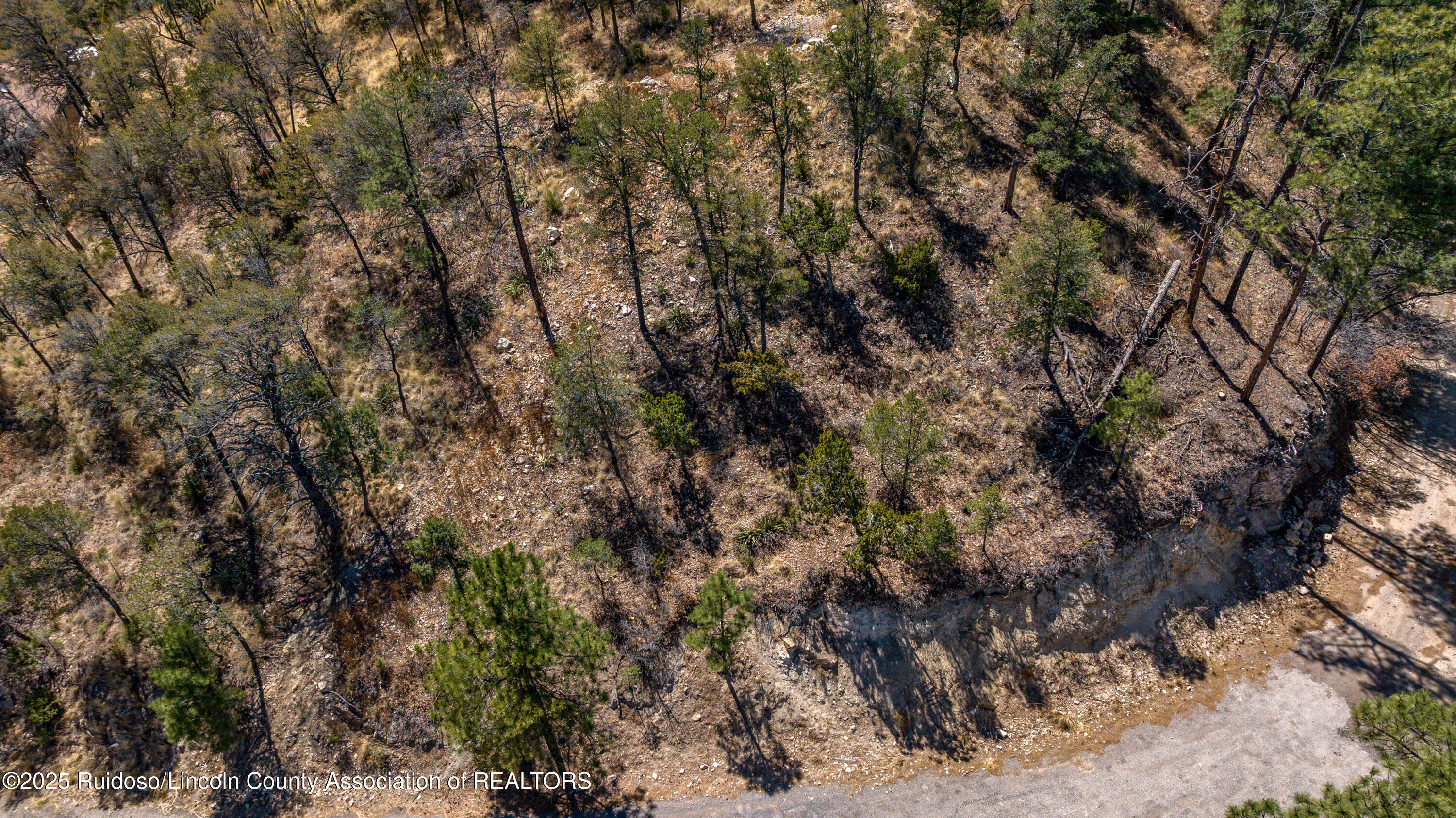 107 Worchester Drive, Ruidoso, New Mexico image 14