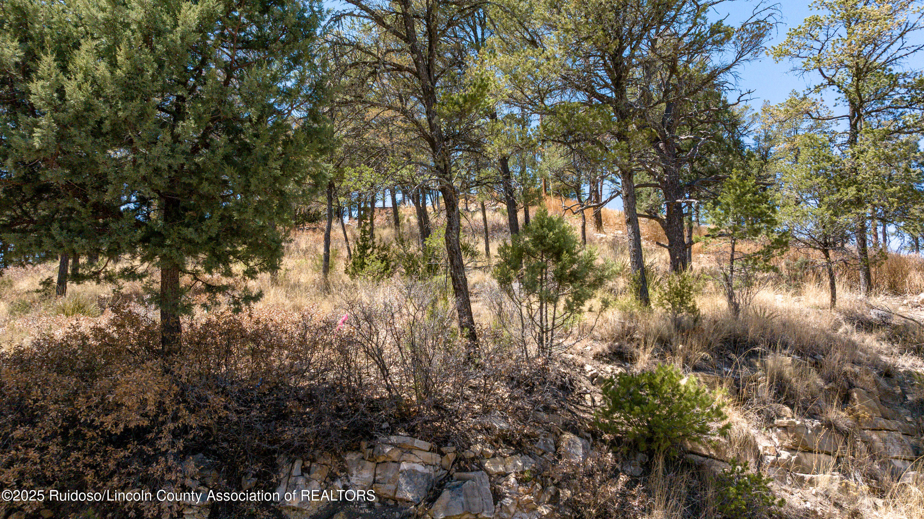 107 Worchester Drive, Ruidoso, New Mexico image 3