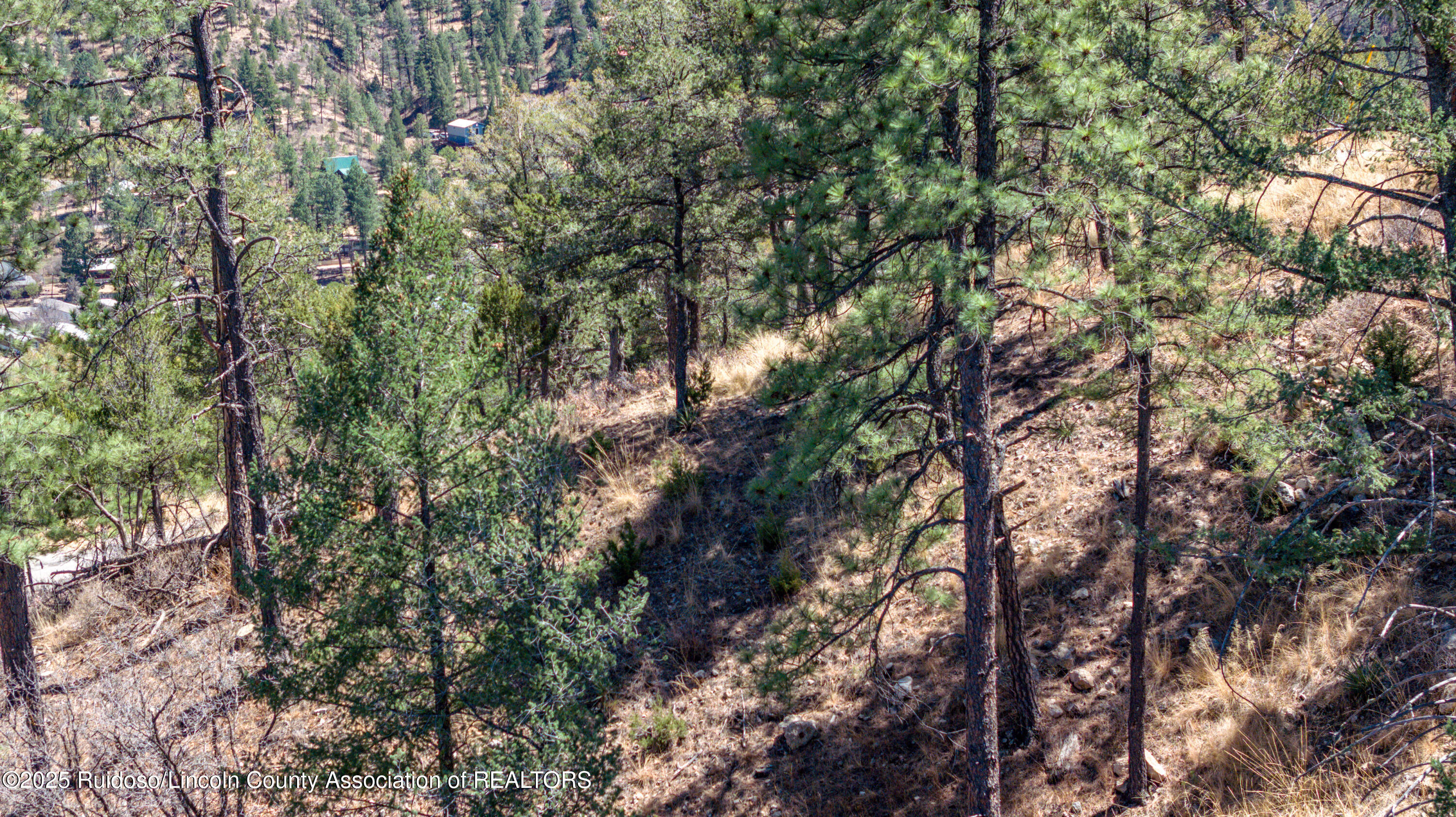 107 Worchester Drive, Ruidoso, New Mexico image 13