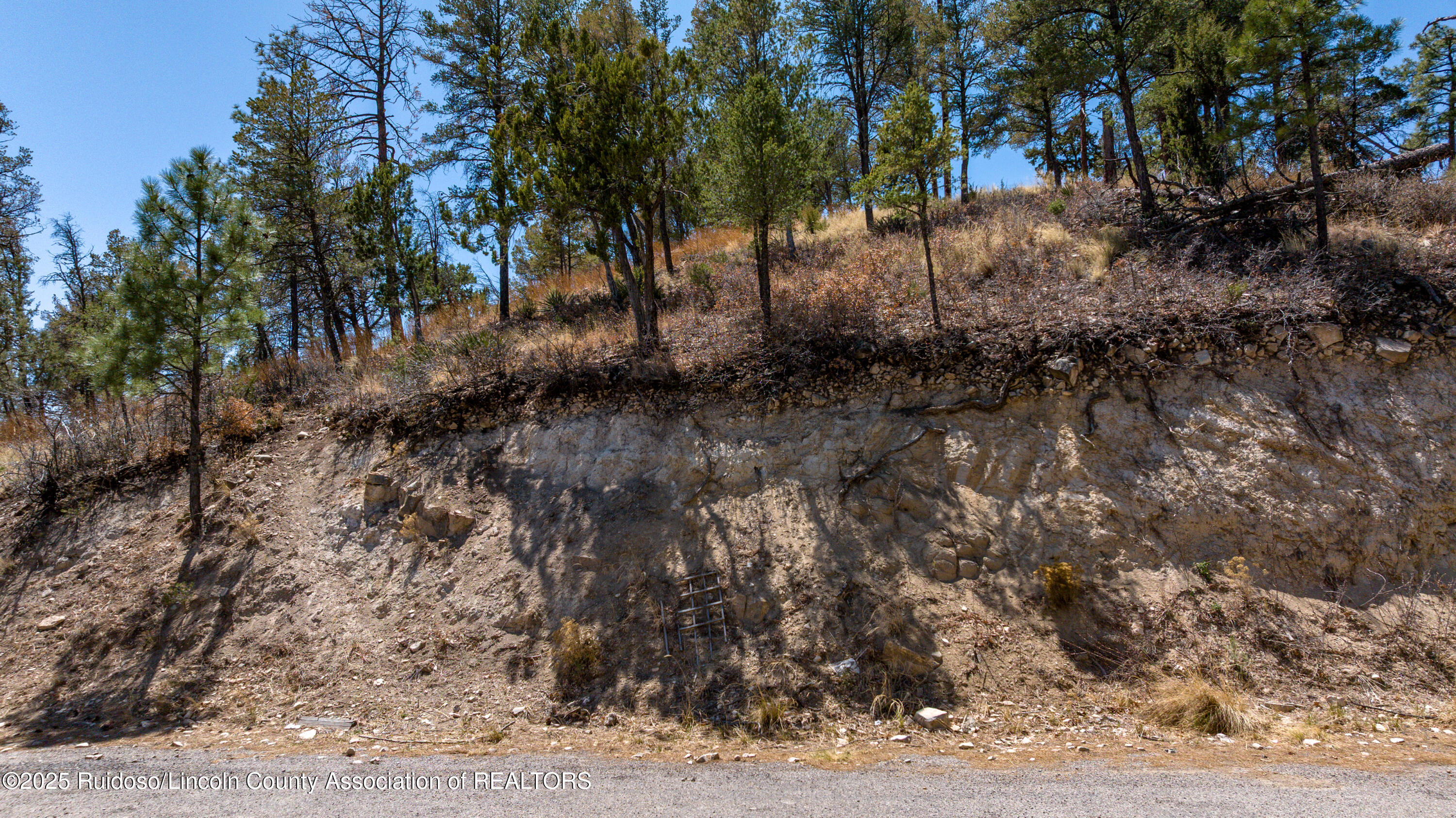 107 Worchester Drive, Ruidoso, New Mexico image 11