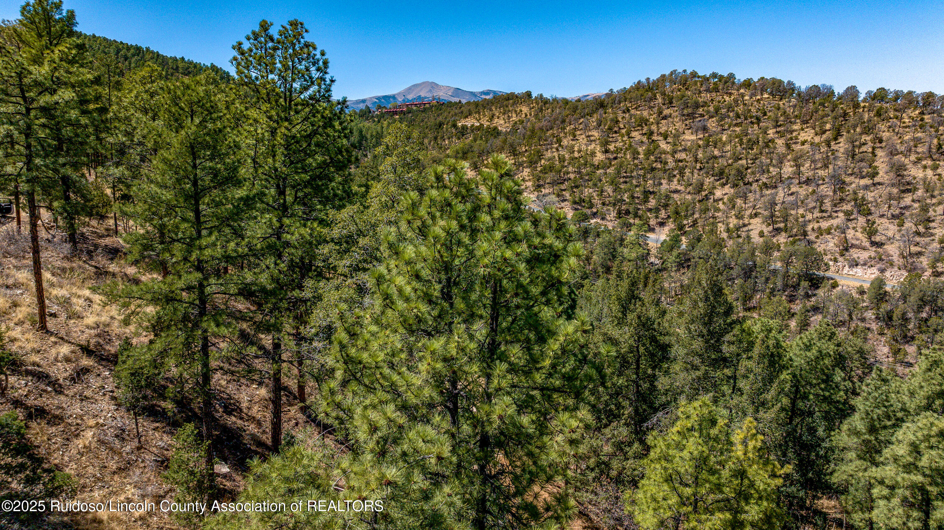 107 Worchester Drive, Ruidoso, New Mexico image 16