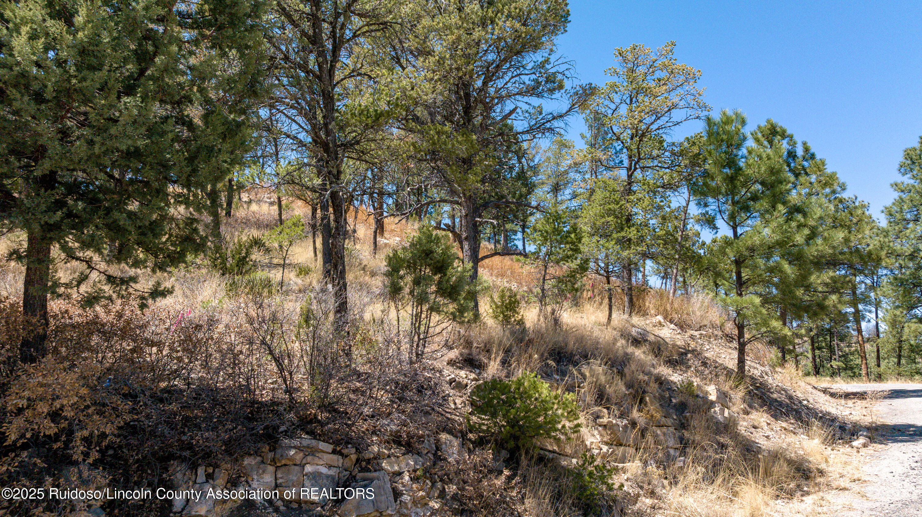 107 Worchester Drive, Ruidoso, New Mexico image 2