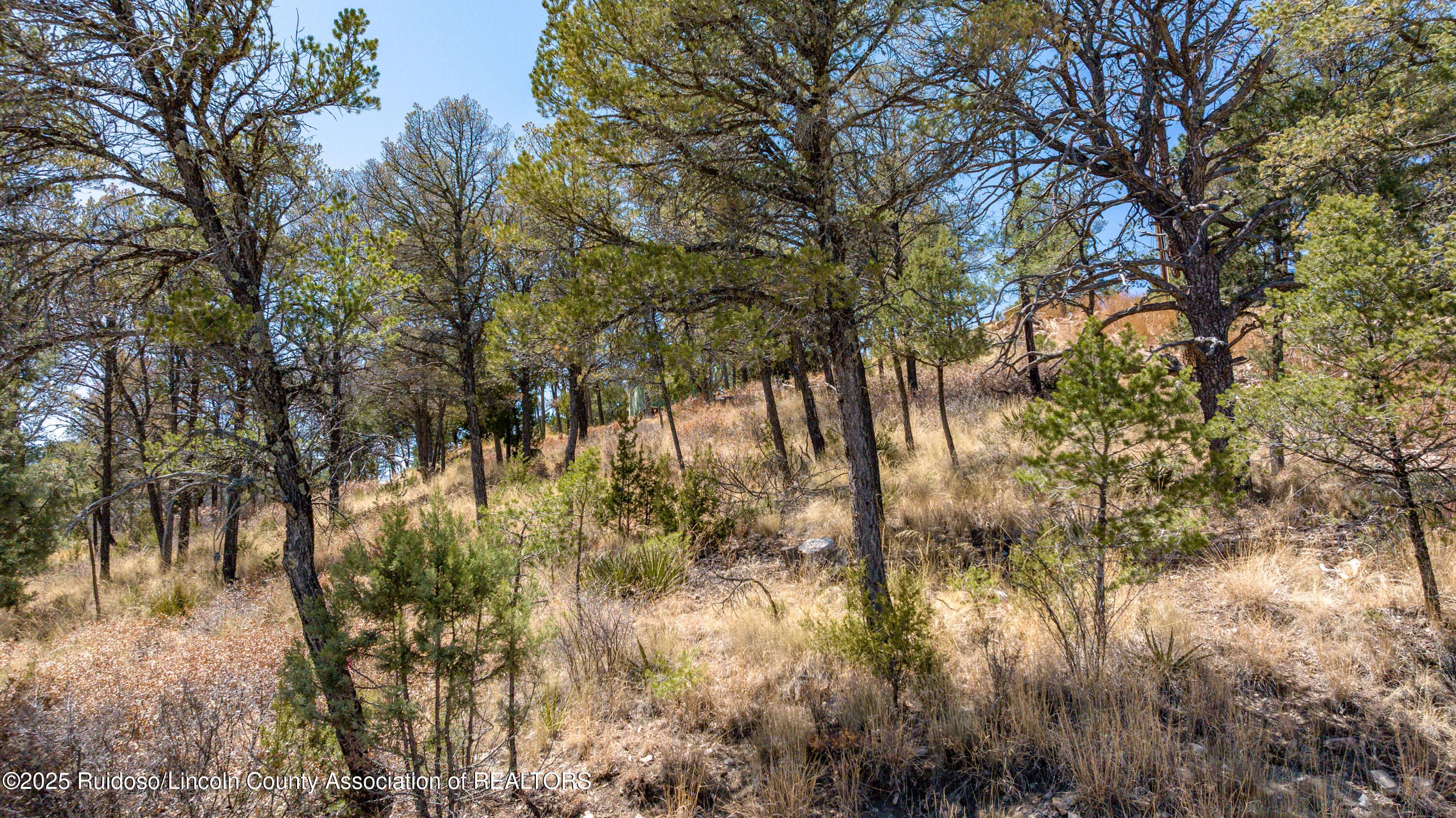 107 Worchester Drive, Ruidoso, New Mexico image 10