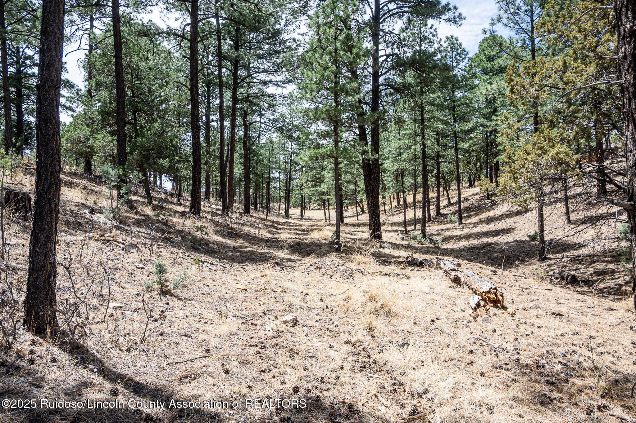 Lot 44A-1 Walter Hagen Drive, Alto, New Mexico image 7