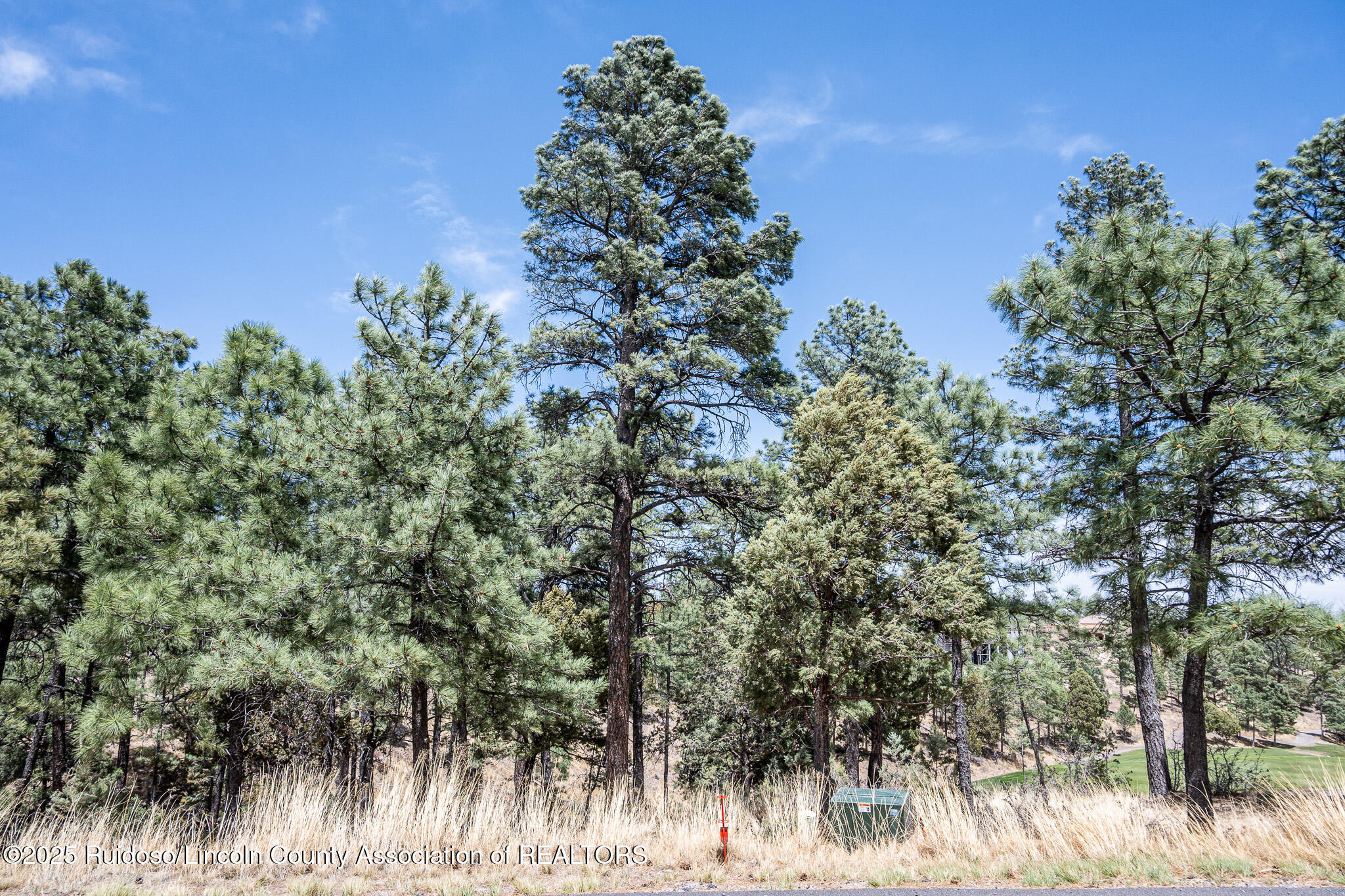 Lot 44A-1 Walter Hagen Drive, Alto, New Mexico image 9