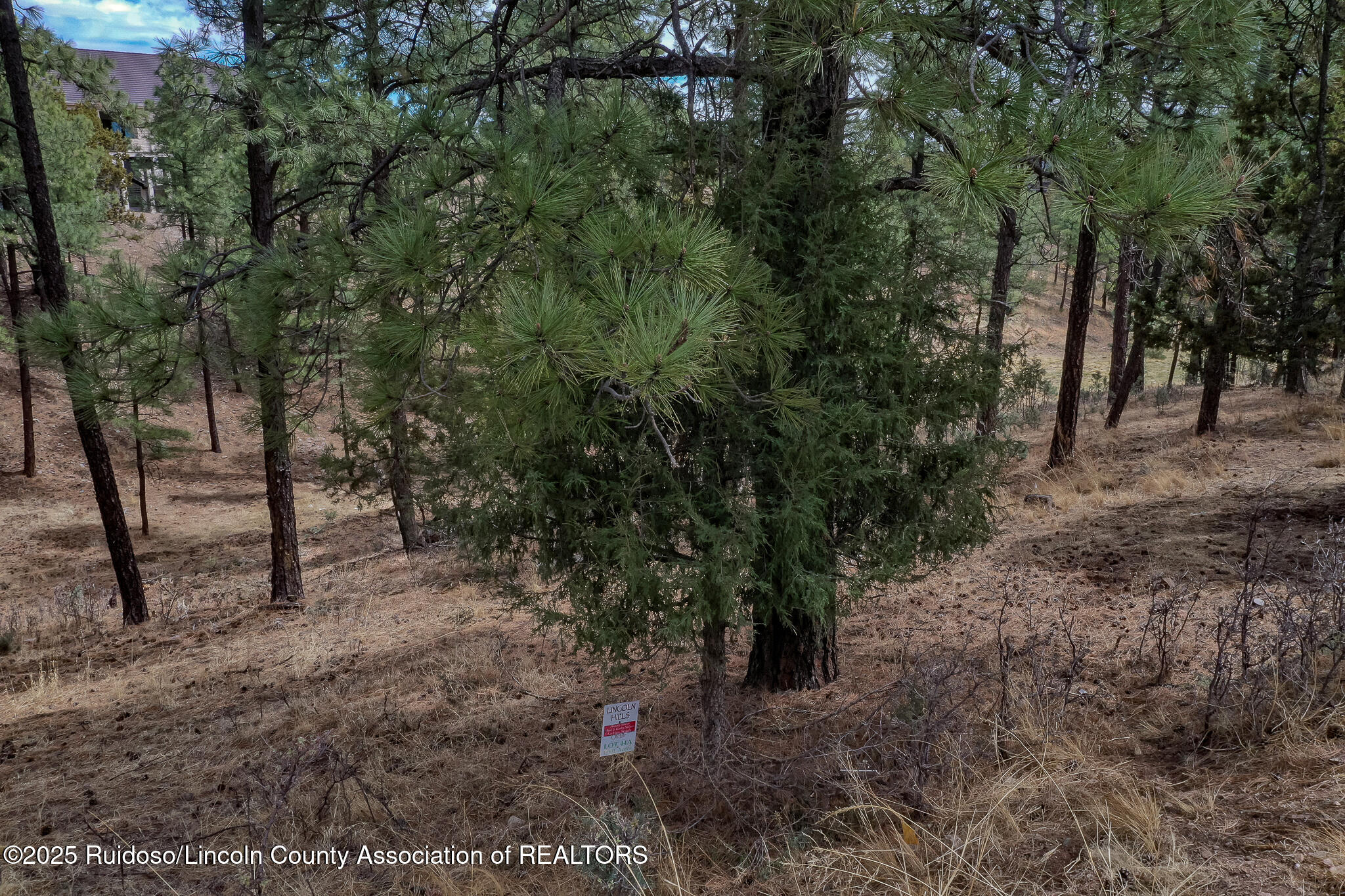Lot 44A-1 Walter Hagen Drive, Alto, New Mexico image 5