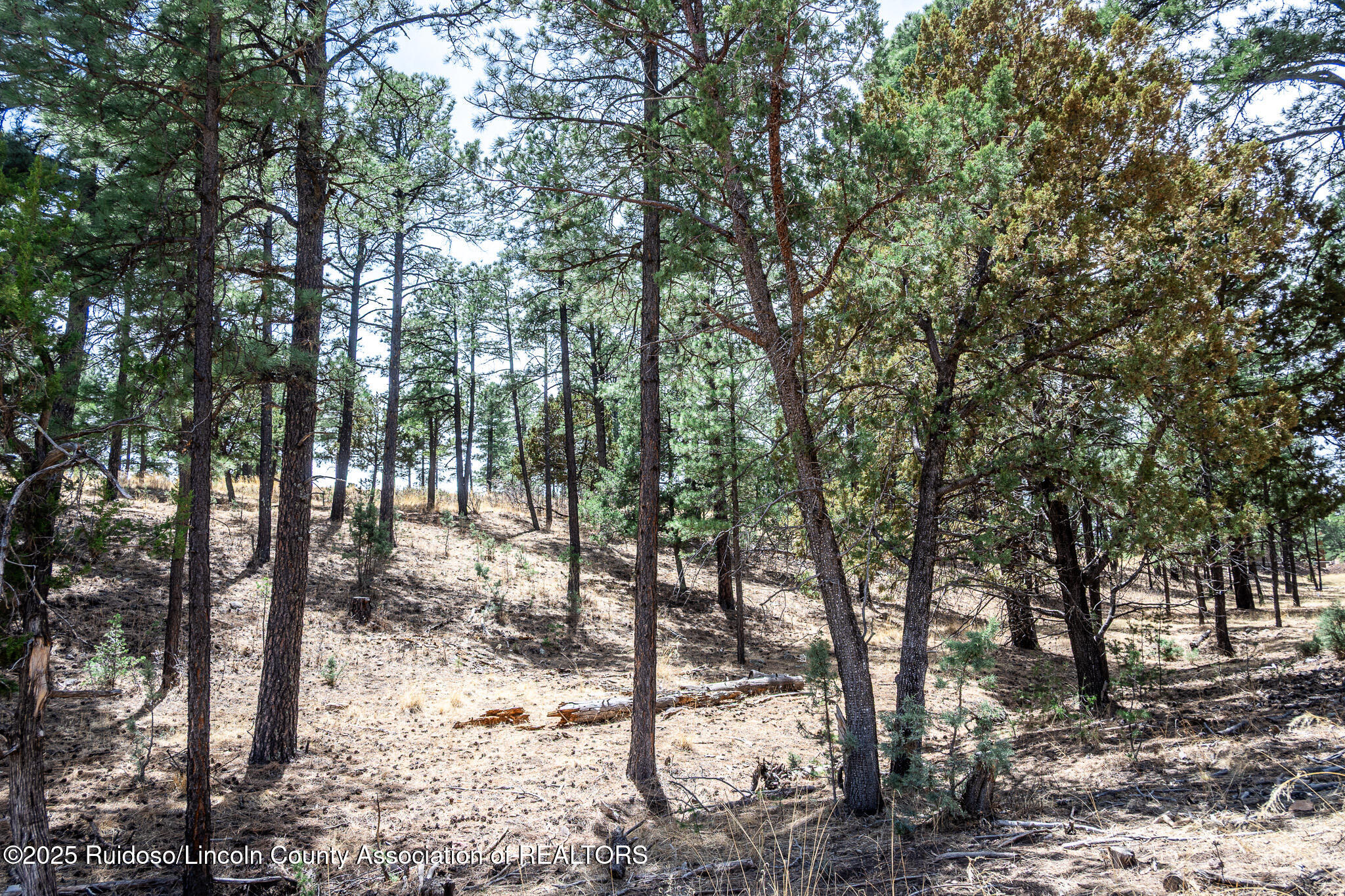 Lot 44A-1 Walter Hagen Drive, Alto, New Mexico image 8