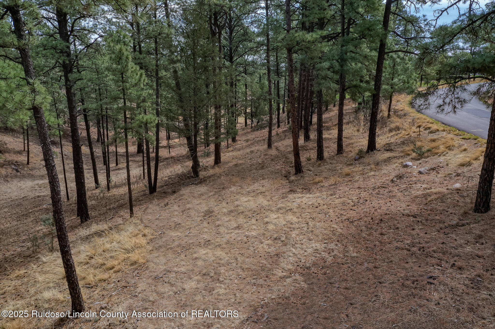 Lot 44A-1 Walter Hagen Drive, Alto, New Mexico image 4