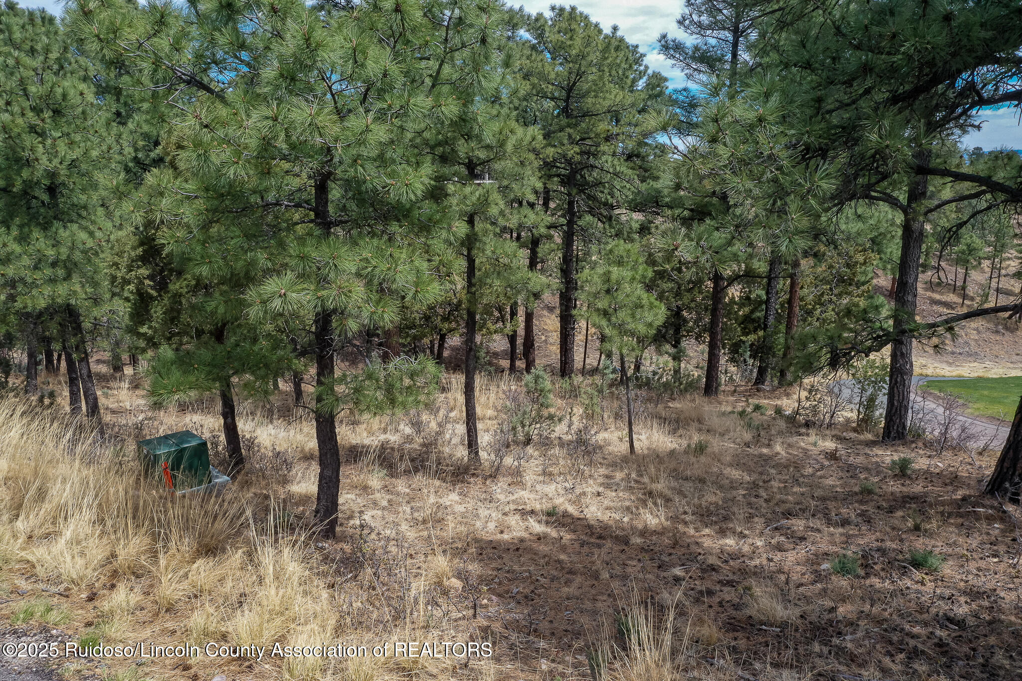 Lot 44A-1 Walter Hagen Drive, Alto, New Mexico image 10