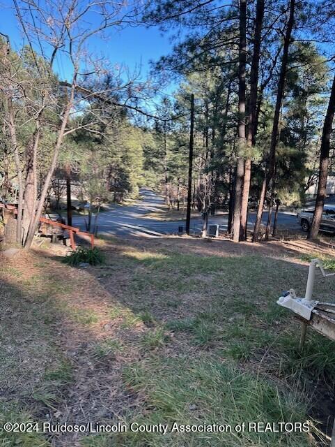 134 Yellow Pine Road, Ruidoso, New Mexico image 10