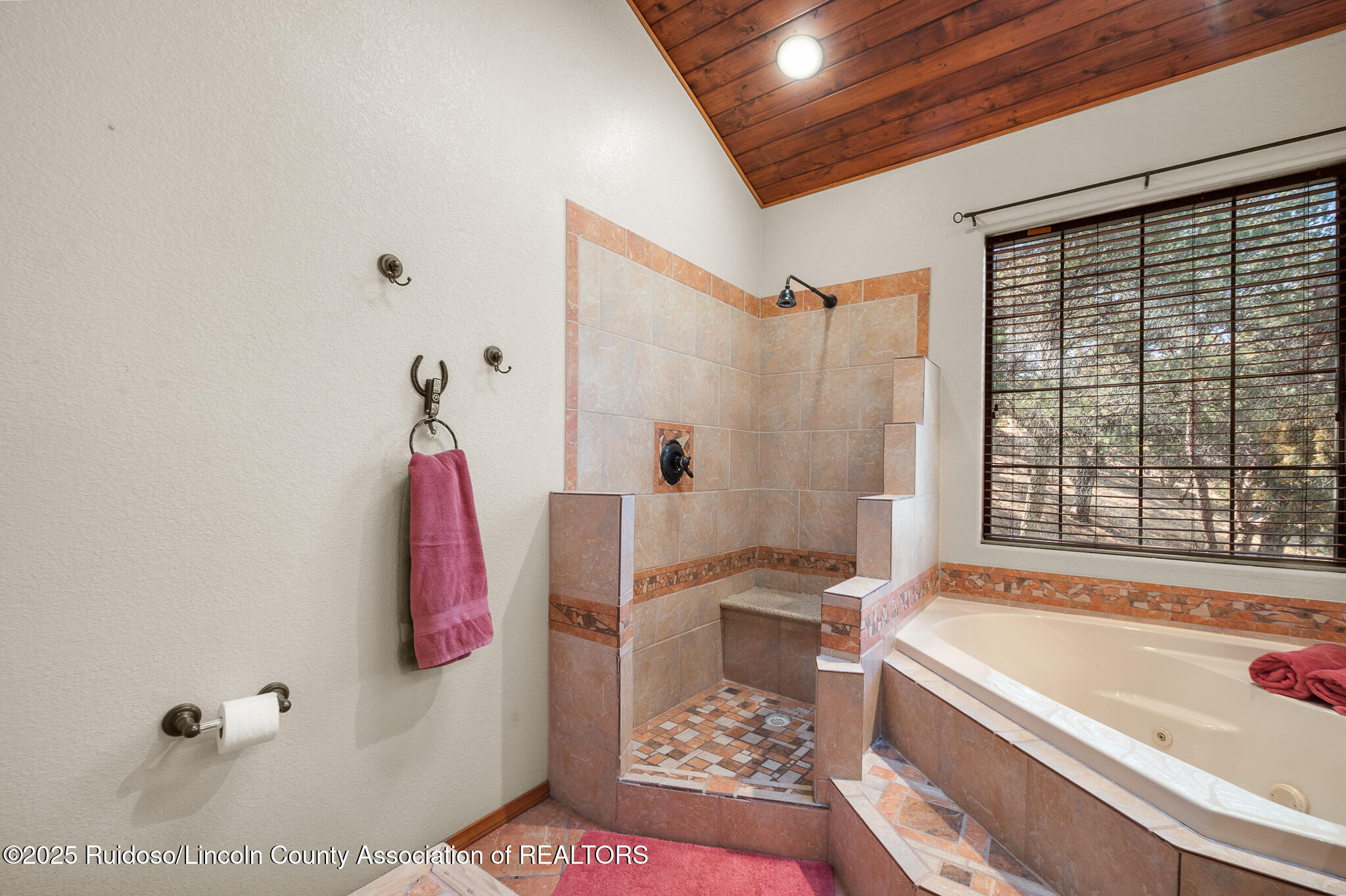 127 Little Creek Hills Rd, Alto, New Mexico image 33