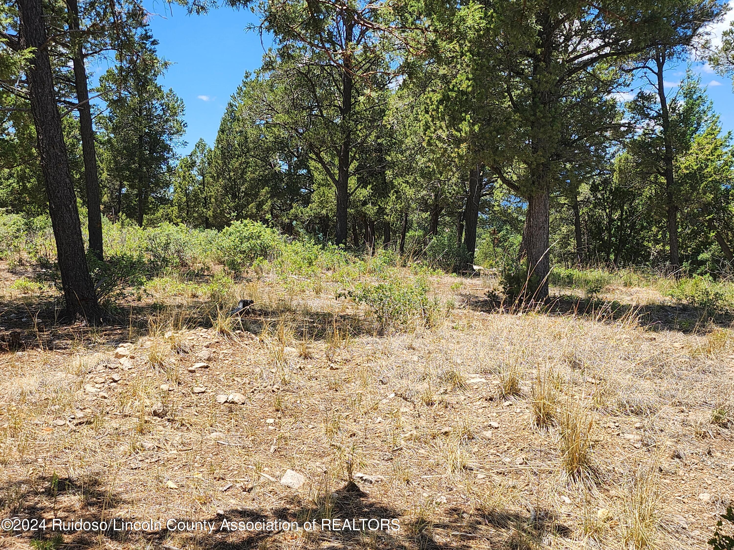 306 Cummings Drive, Ruidoso, New Mexico image 2