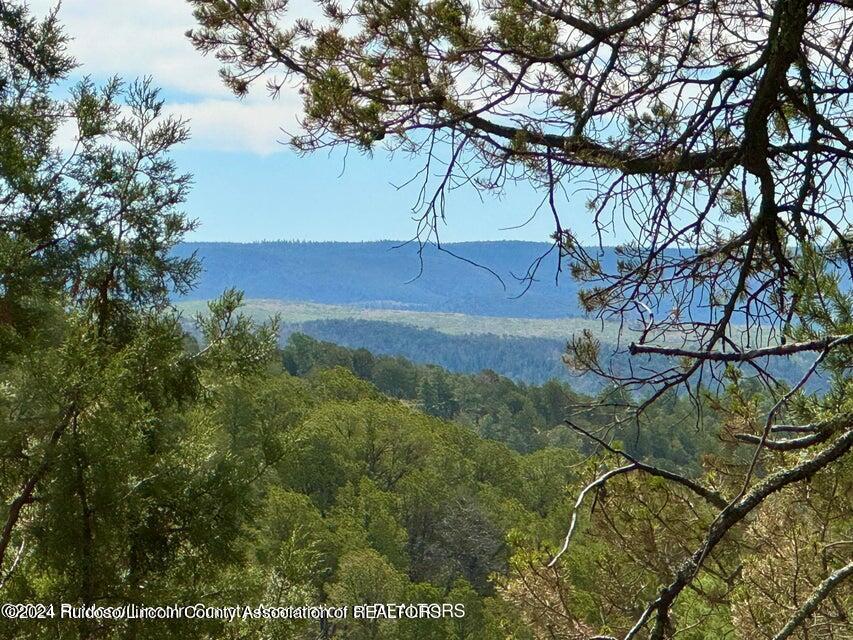 L17 Mount Hood, Ruidoso, New Mexico image 14