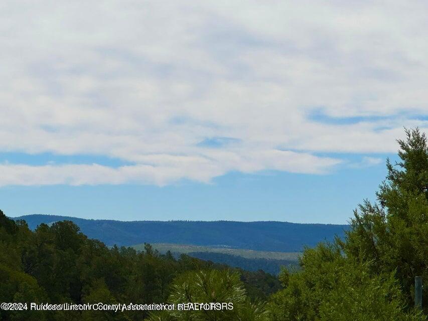 L17 Mount Hood, Ruidoso, New Mexico image 13